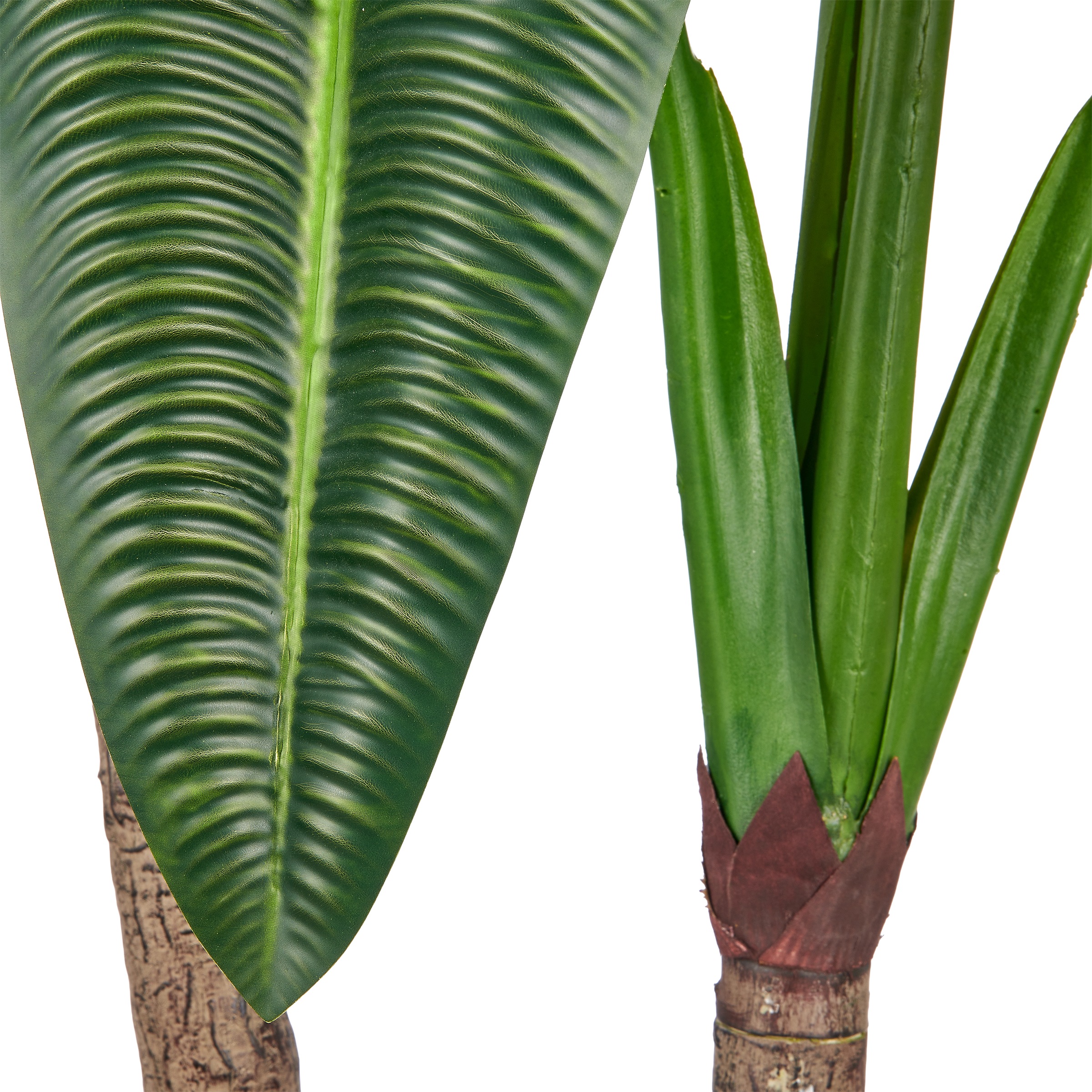 Creativ green Kunstpflanze »Anthurium veitchii« in beeindruckender Größe