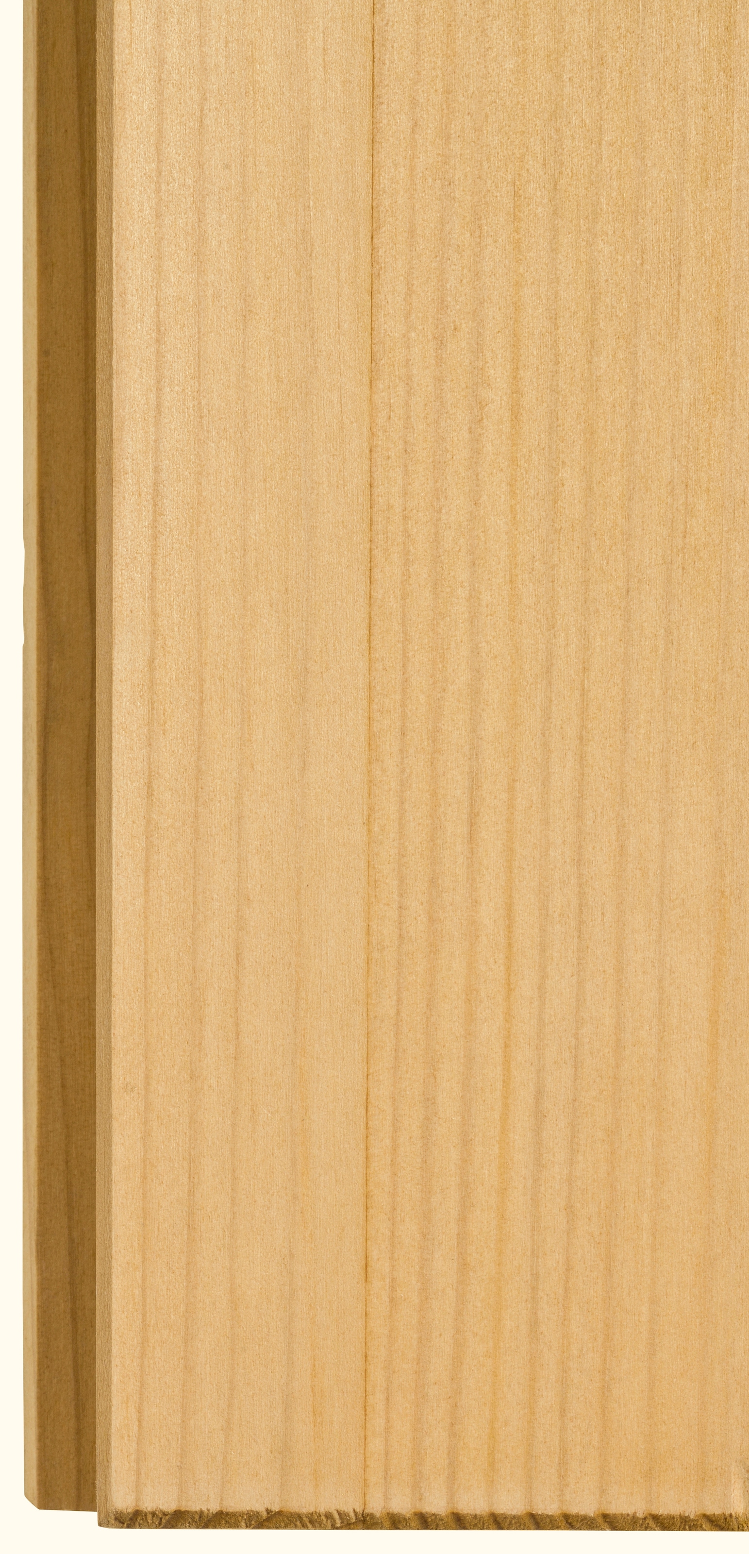 Home affaire Hängeschrank »Alby«, Breite 100 cm, 2 Türen