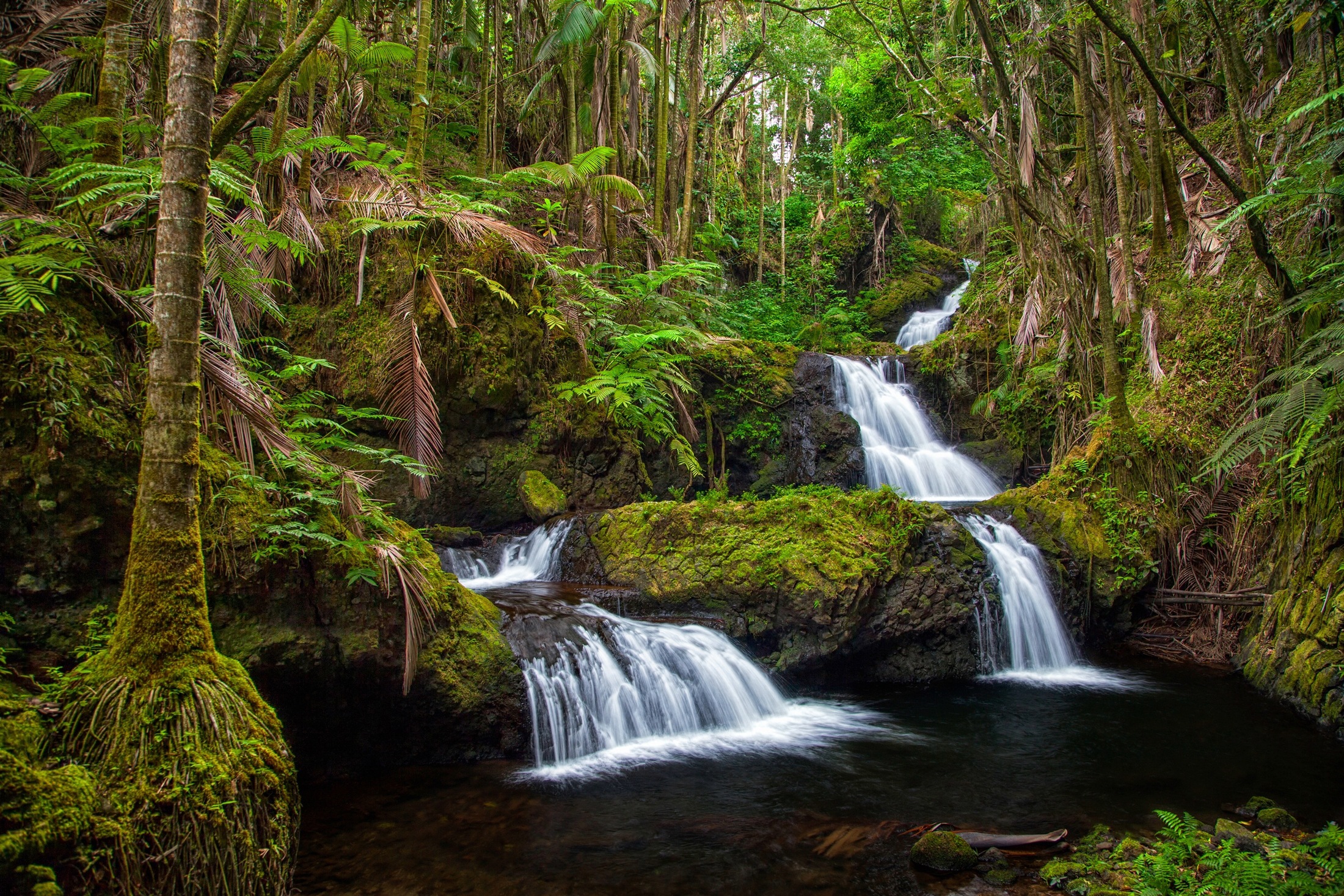 Papermoon Fototapete »WASSERFALL-MAGISCHER WALD BÄUME FLUSS SEE STEINE BLUMEN«