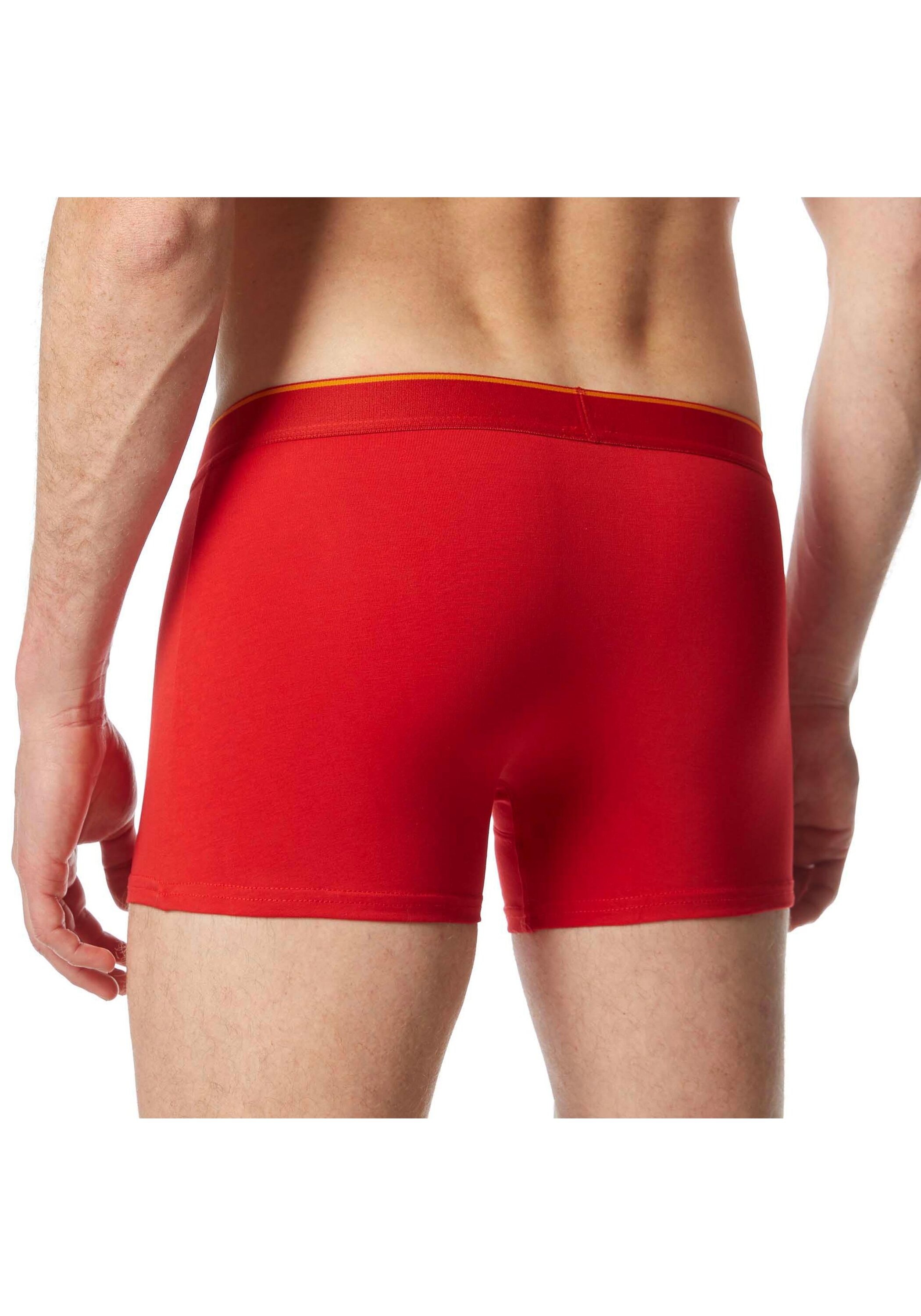 Bruno Banani Boxershorts »Boxershort Quick Access 2er Pack«