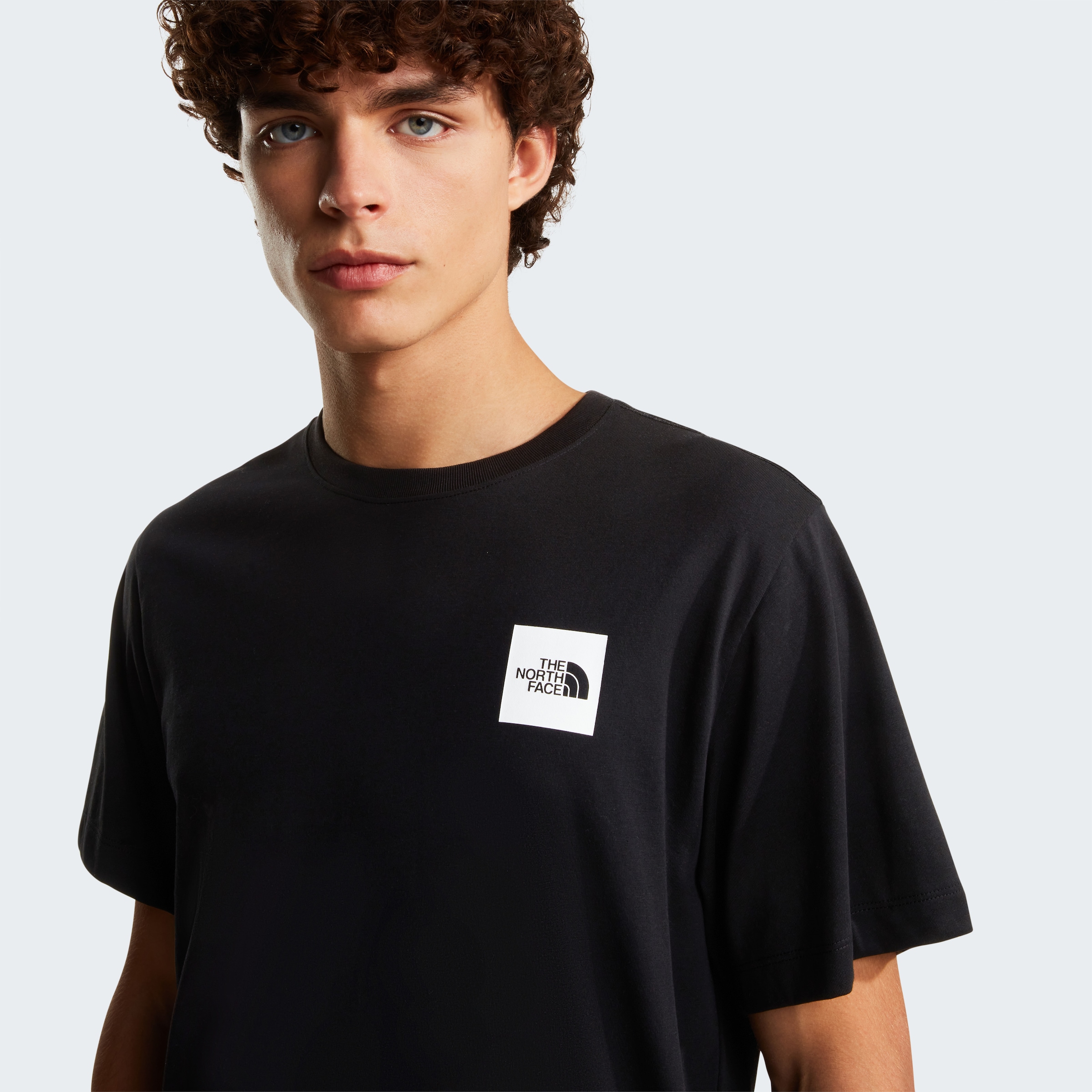 The North Face T-Shirt »M EVOLUTION BOX HALF DOME REGULAR SHORT SLEEVE TEE« Kurzarm, für Sportmode und Outdoormode, mit Rundhalsausschnitt
