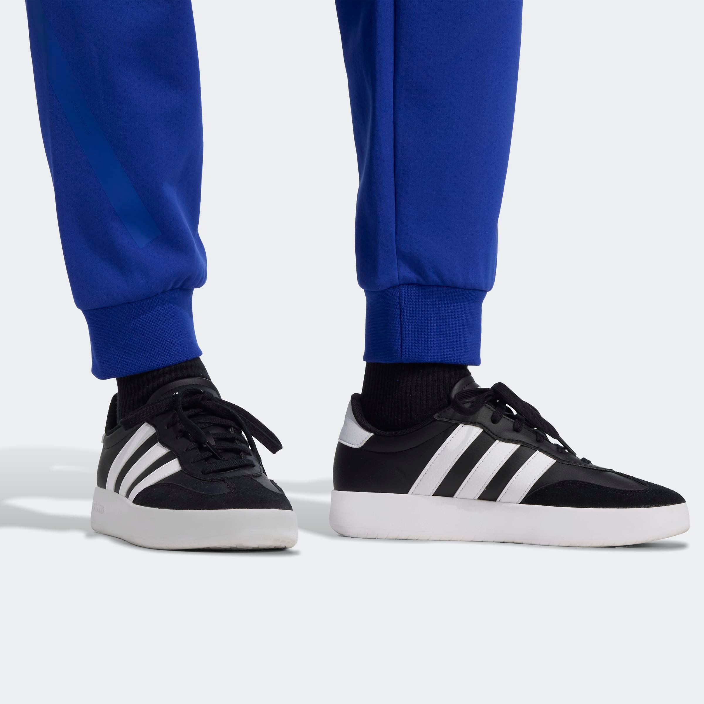 adidas Sportswear Sporthose »M Z.N.E. PT«, (1 tlg.)