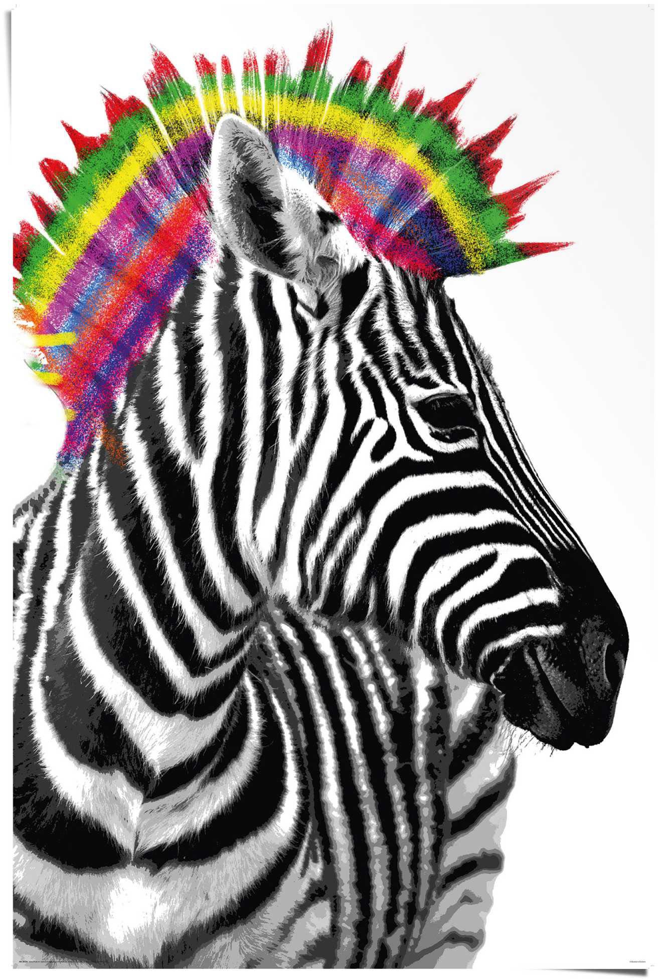 Reinders! Poster »Zebra Punk«, (1 St.)