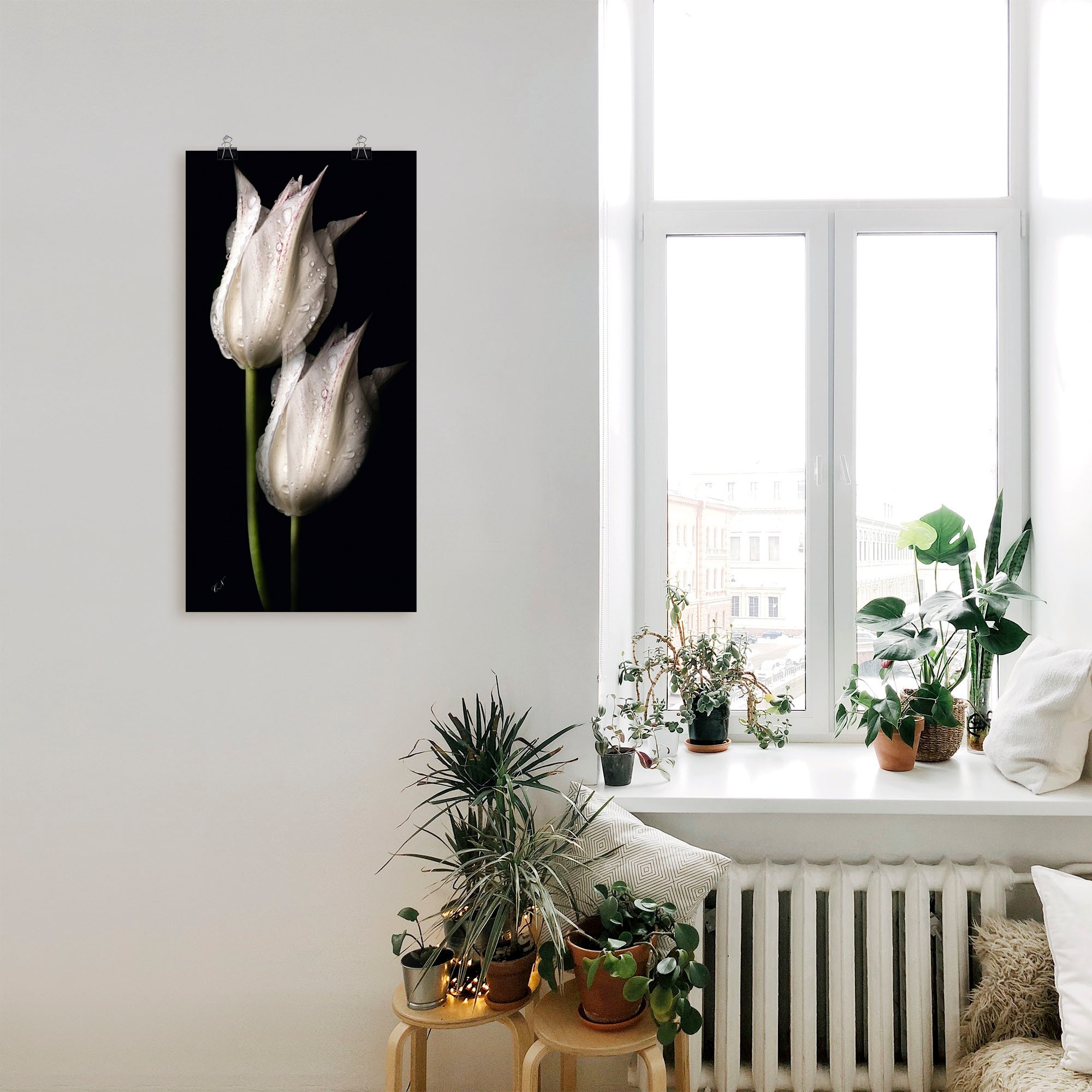 Artland Wandbild »Weiße Tulpen in der Nacht«, Blumenbilder, (1 St.), als Alubild, Outdoorbild, Leinwandbild, Poster, Wandaufkleber