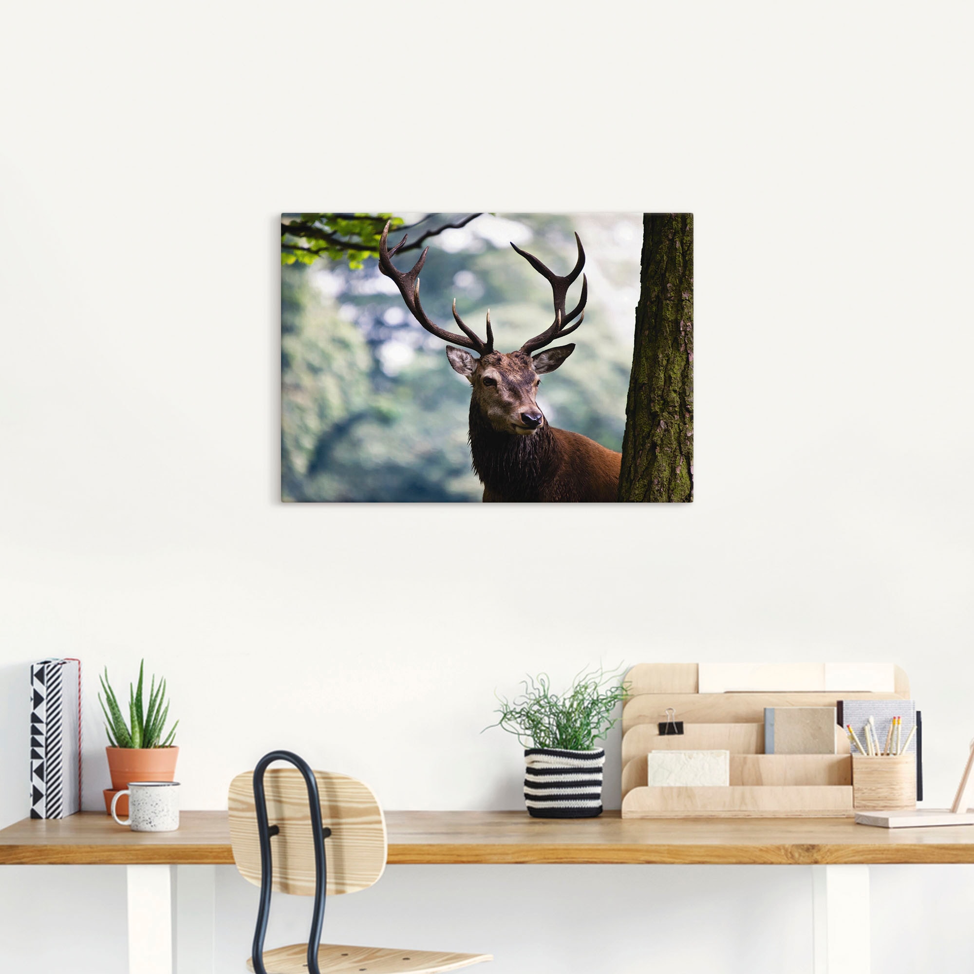 Artland Wandbild »Hirsch«, Wildtiere, (1 St.), als Alubild, Outdoorbild, Leinwandbild, Poster in verschied. Größen