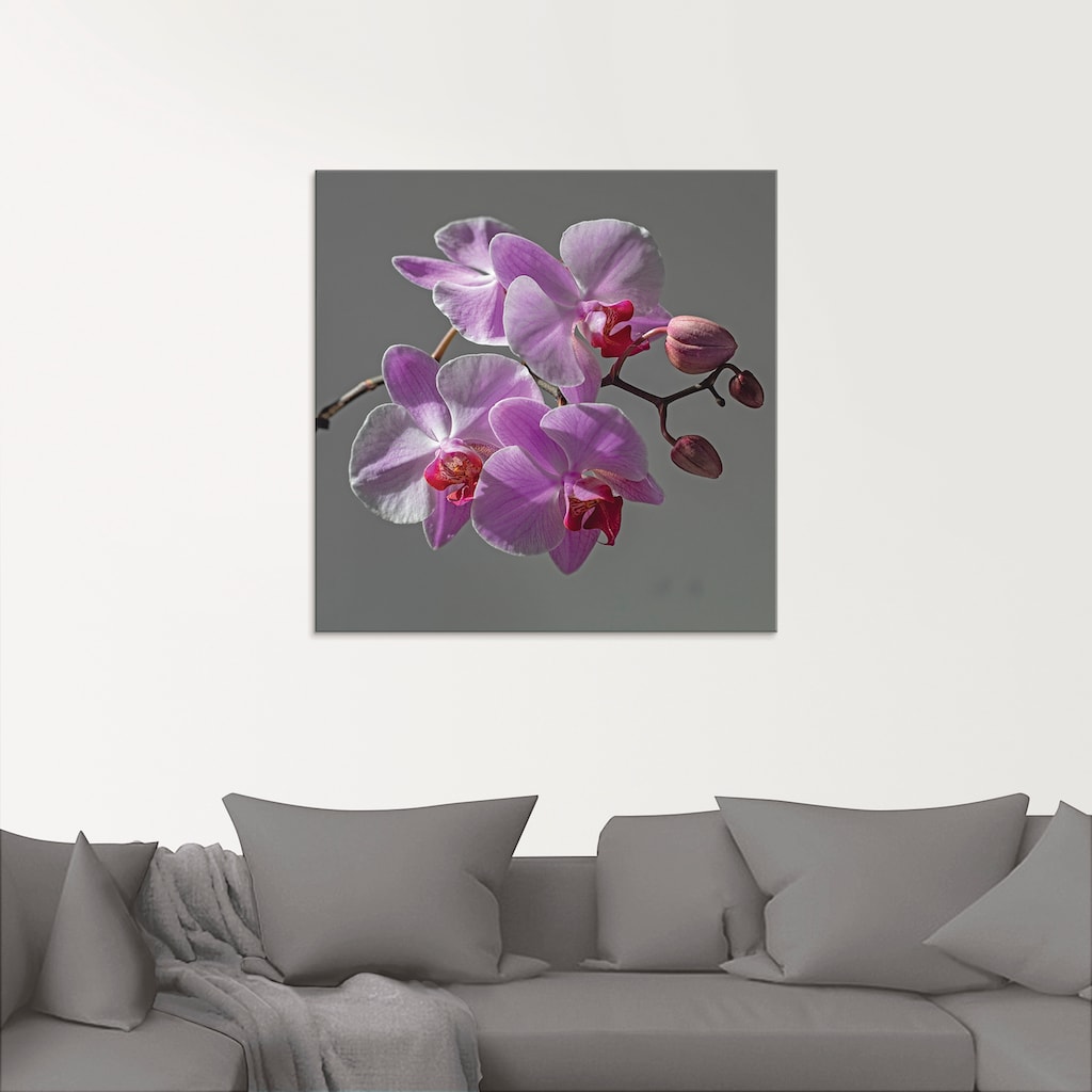 Artland Glasbild »Orchideentraum«, Blumen, (1 St.), in verschiedenen Größen