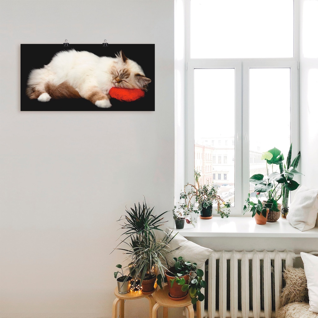 Artland Wandbild »Müde Katze«, Haustiere, (1 St.)