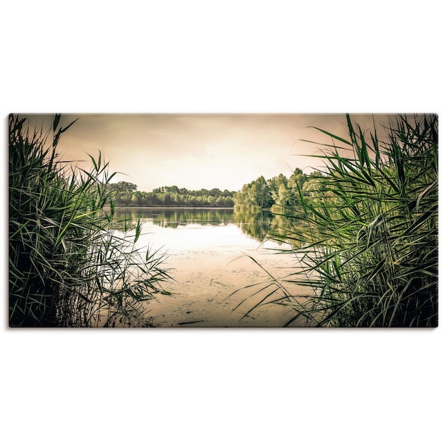 Artland Wandbild »gruenes Schilf am See«, Seebilder, (1 St.), als Alubild,  Leinwandbild, Wandaufkleber oder Poster in versch. Größen kaufen online bei  OTTO