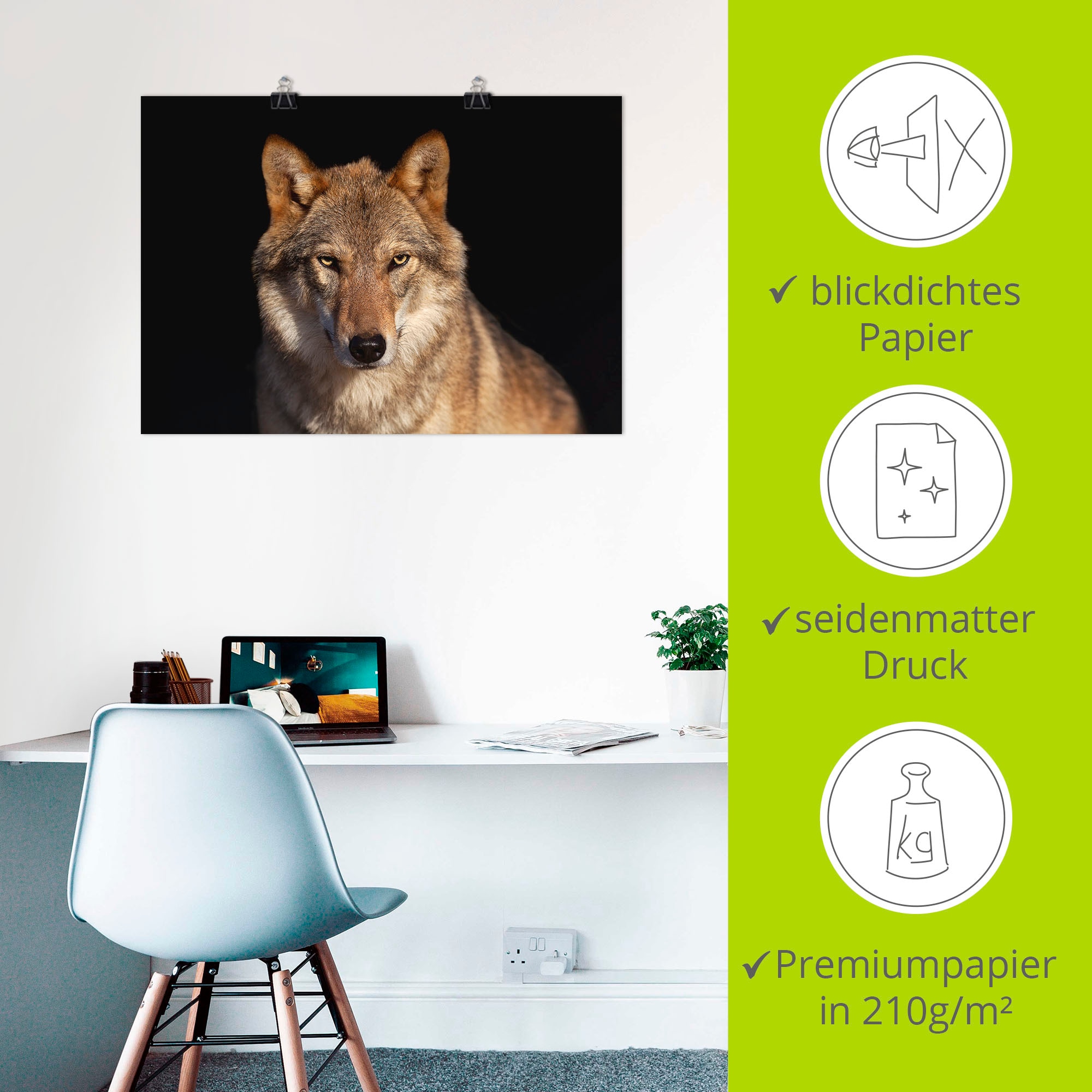 Artland Poster »Wolf«, Wildtiere, (1 St.), als Alubild, Leinwandbild, Wandaufkleber oder Poster in versch. Größen
