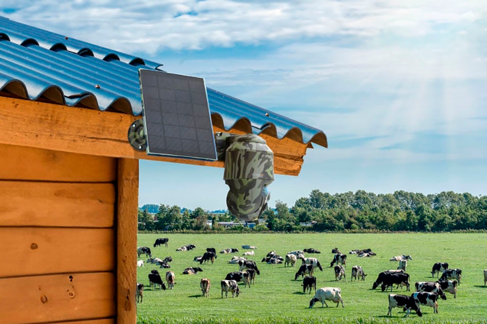 Technaxx Überwachungskamera »4G PT Dome TX-290 mit Solarmodul« Außenbereich