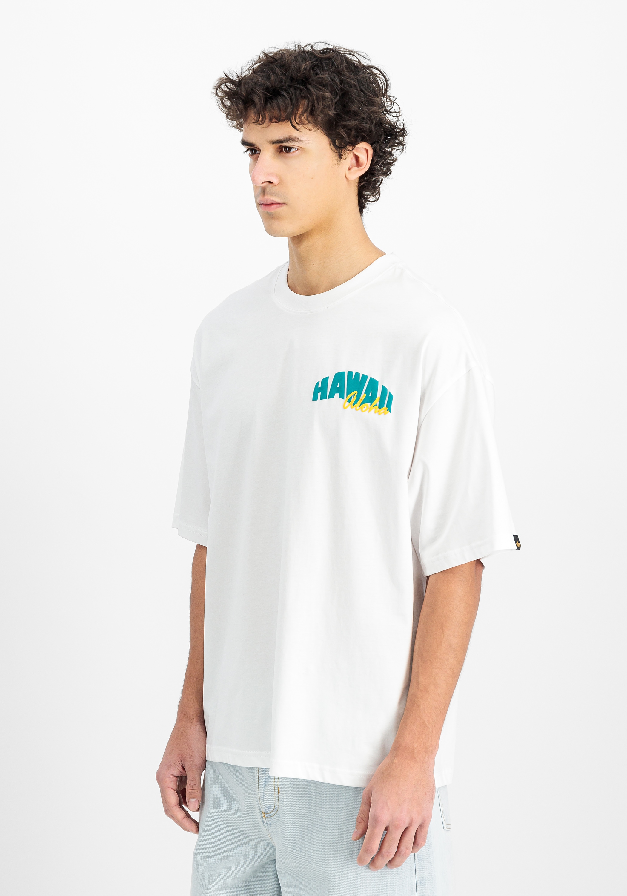Alpha Industries T-Shirt »Hawaii Aloha Backprint T-Shirt«