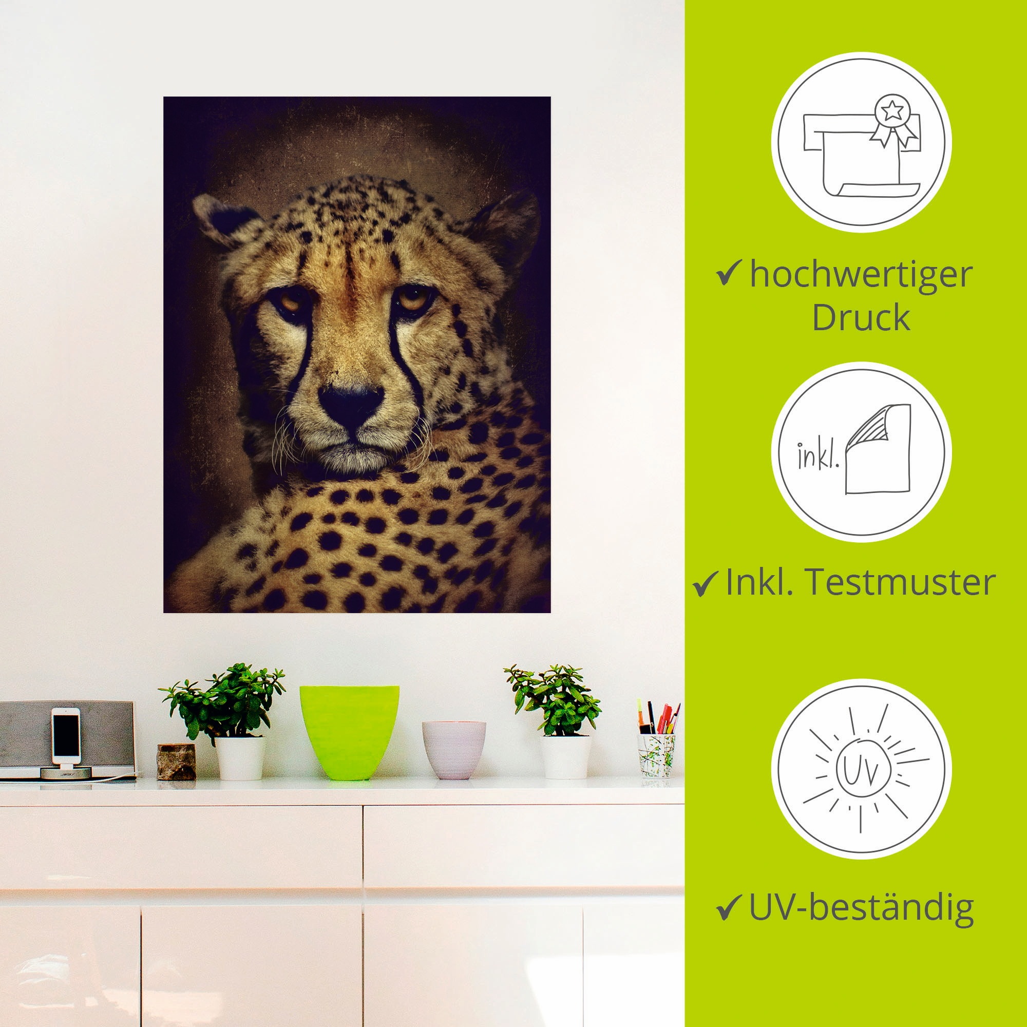 Artland Wandbild »Gepard«, Wildtiere, (1 St.), als Leinwandbild, Wandaufkleber in verschied. Größen
