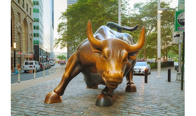Fototapete »Wall Street Bull«