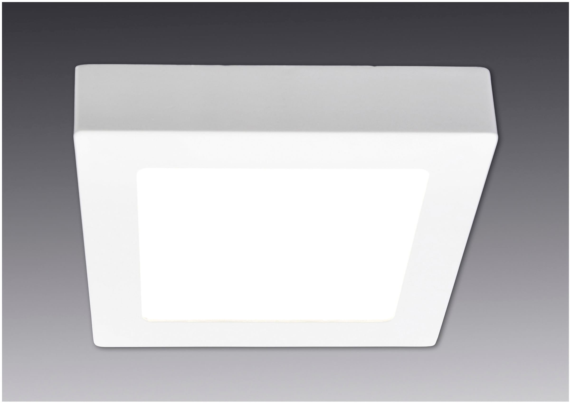 näve LED Panel »Dimplex« LED-Modul 1 Stk. Warmweiß Aufbaupanel eckig weiß, dimmbar, Phasenan- und abschnitt, 17,2x17,2cm