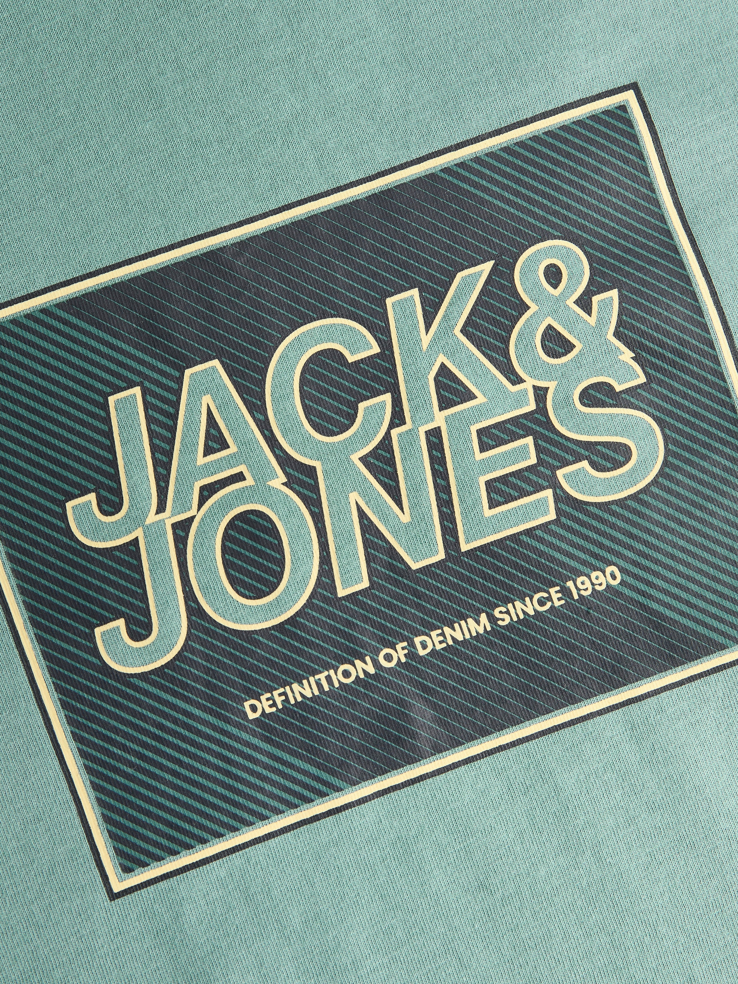 Jack & Jones PlusSize Rundhalsshirt »JJRAIN TEE SS CREW NECK PLS«