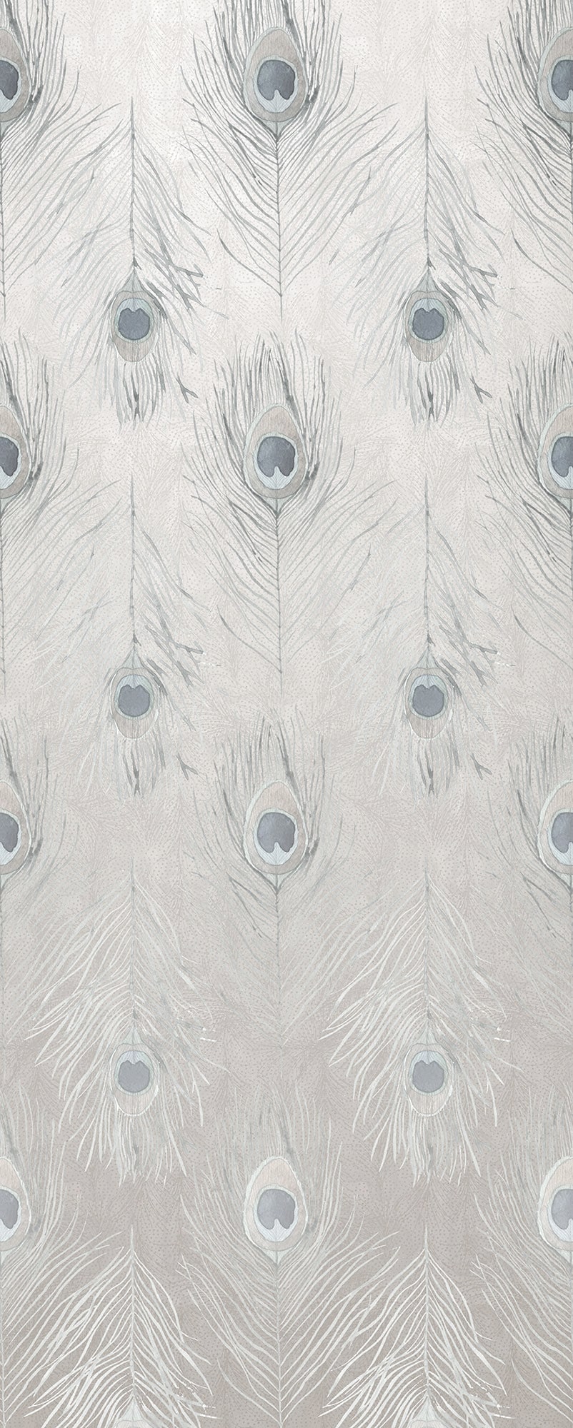 Komar Fototapete »Vlies Fototapete - Pfauenfedern - Größe 100 x 250 cm« Motiv | bedruckt glatt