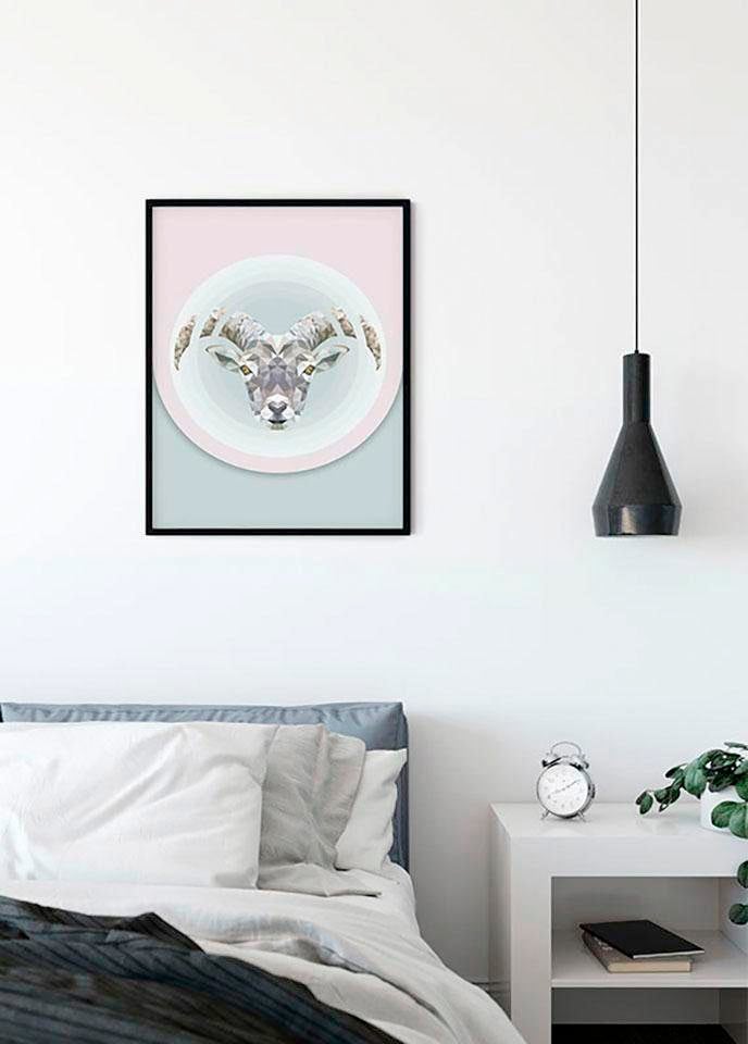 Komar Poster »Capricorn«, Tiere, (1 St.), Kinderzimmer, Schlafzimmer, Wohnzimmer