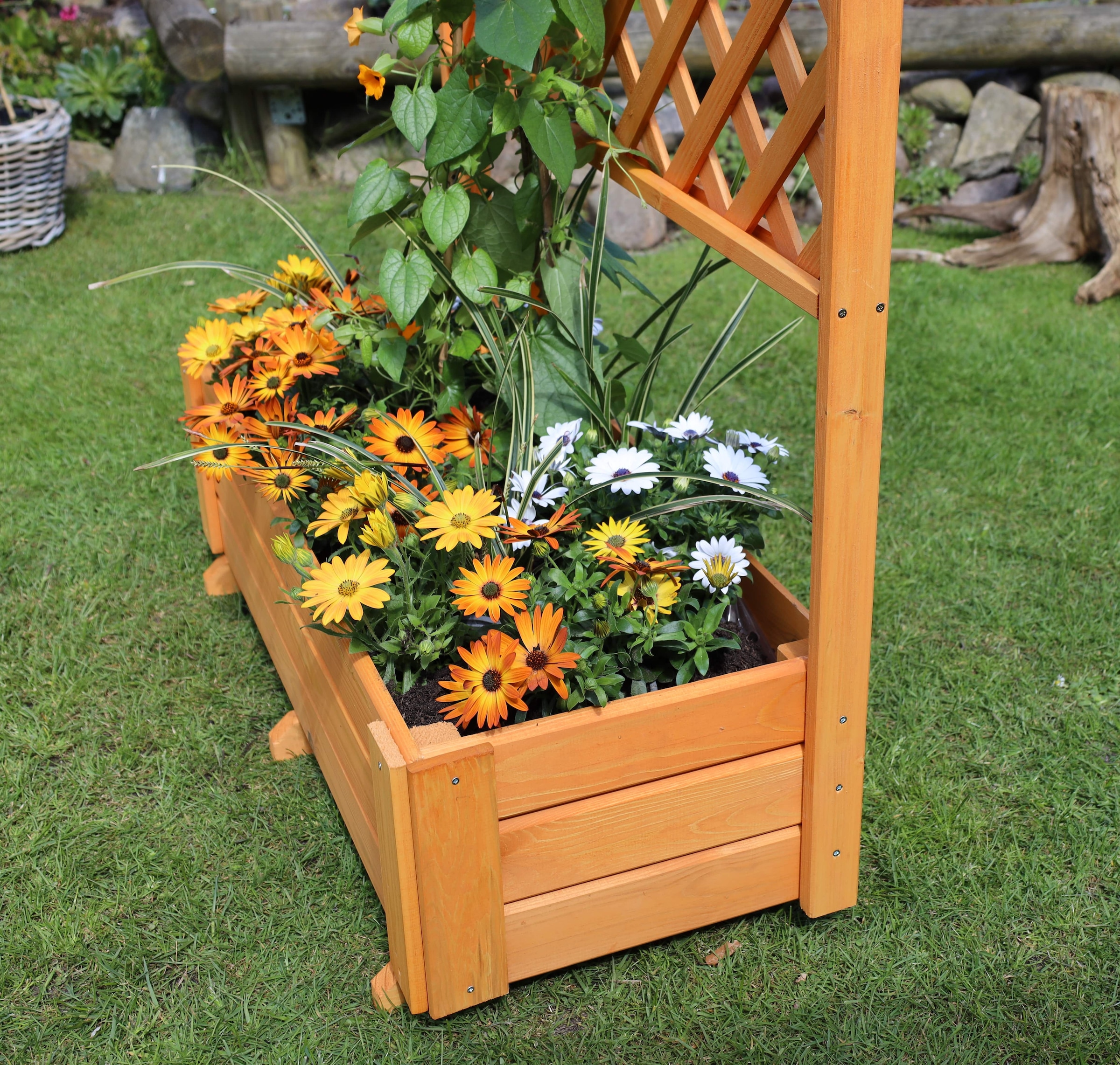promadino Spalier mit Pflanzkasten, BxT: 91x41 cm, versch. Höhen