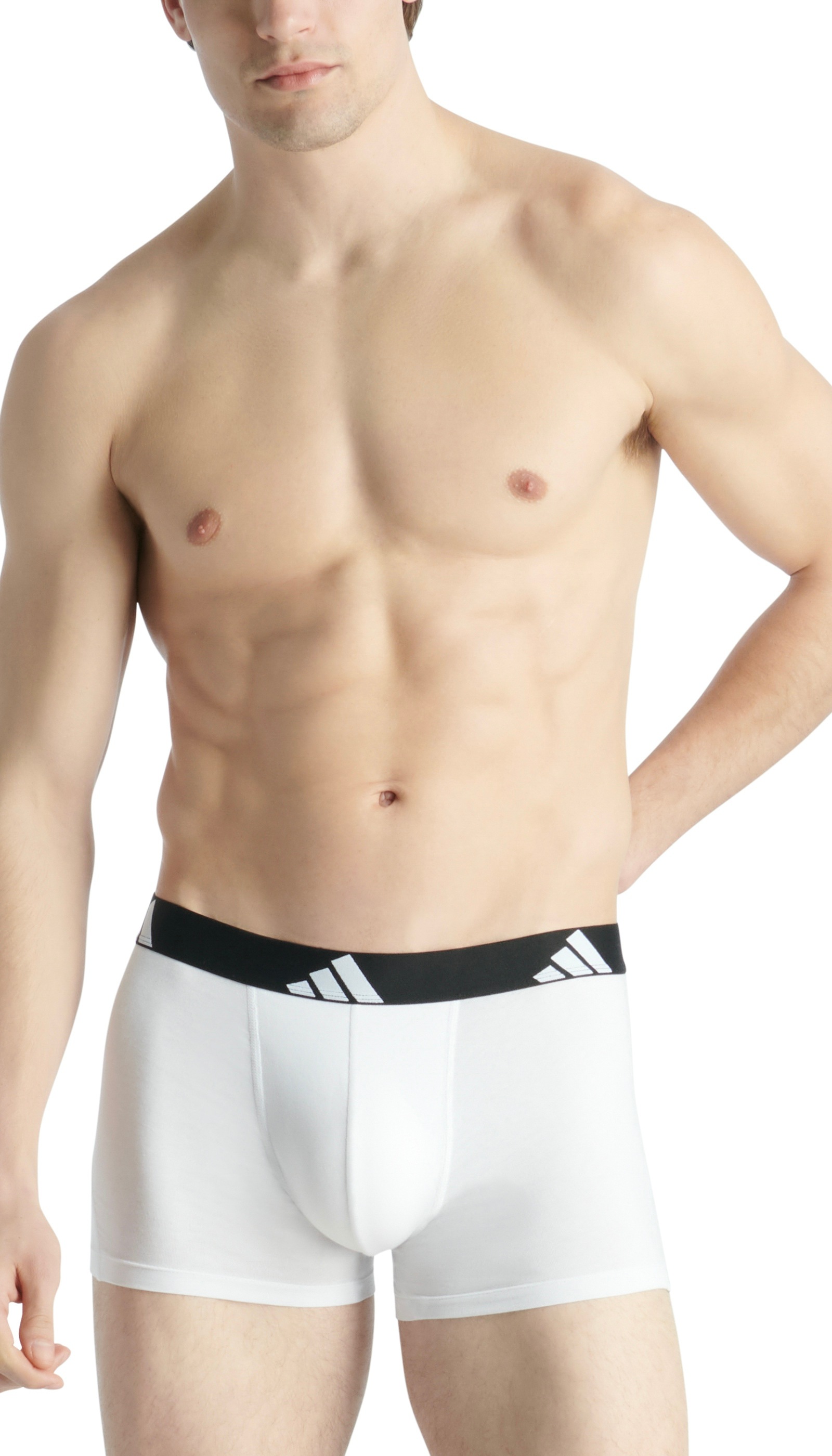 adidas Sportswear Trunk »Active Flex Cotton«, (3er Pack), mit elastischem Logobund