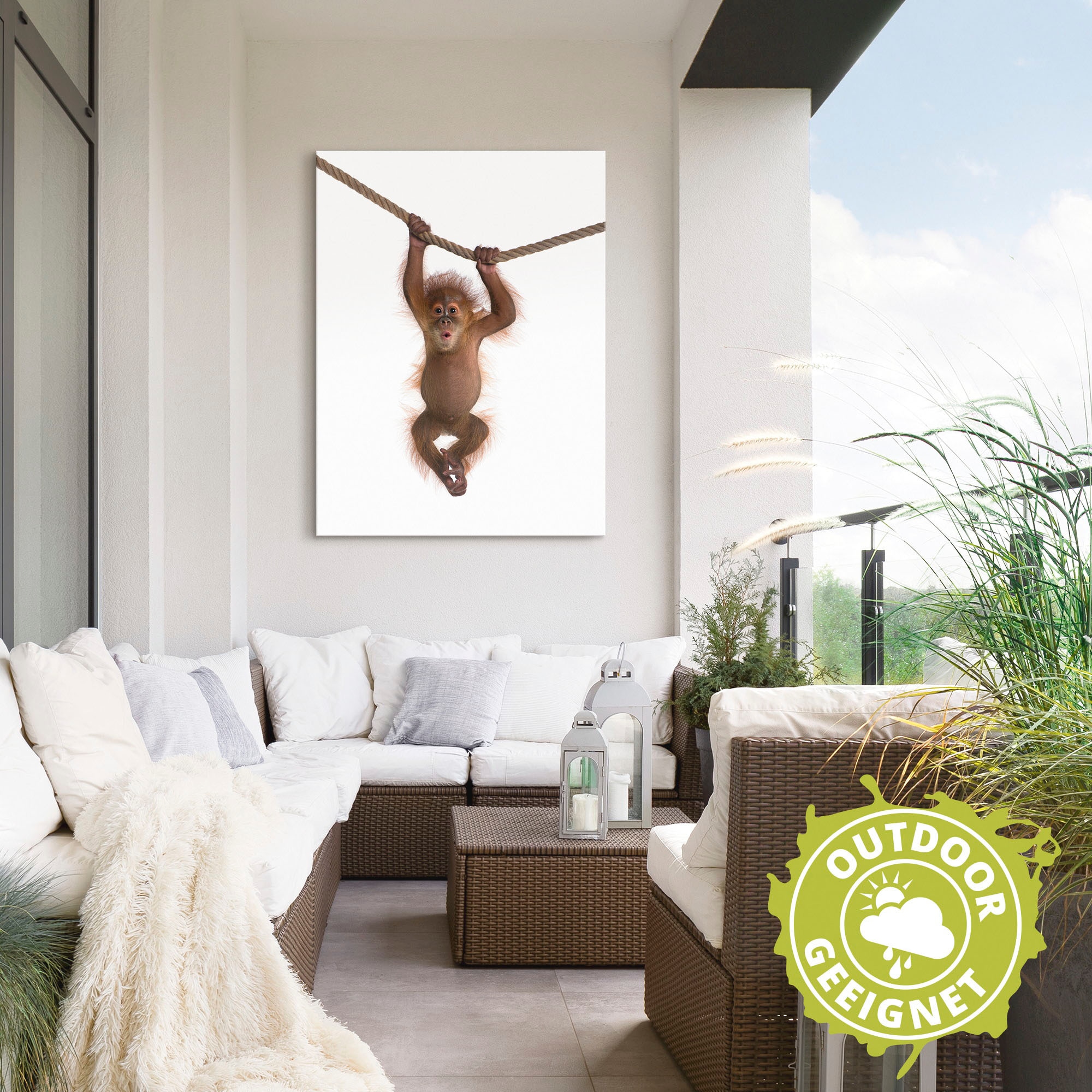 Artland Wandbild »Baby Orang Utan hängt an Seil II«, Wildtiere, (1 St.), als Alubild, Outdoorbild, Leinwandbild, Poster, Wandaufkleber