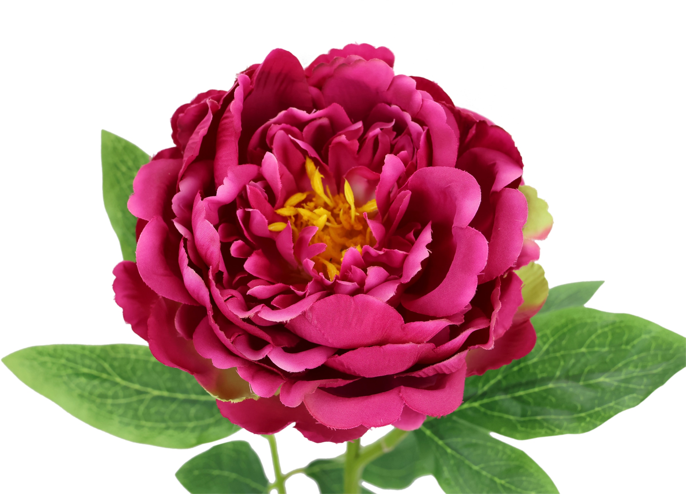 I.GE.A. Kunstblume »Päonie Bauernrose«, Pfingstrosen Einzelblume, 3er Set