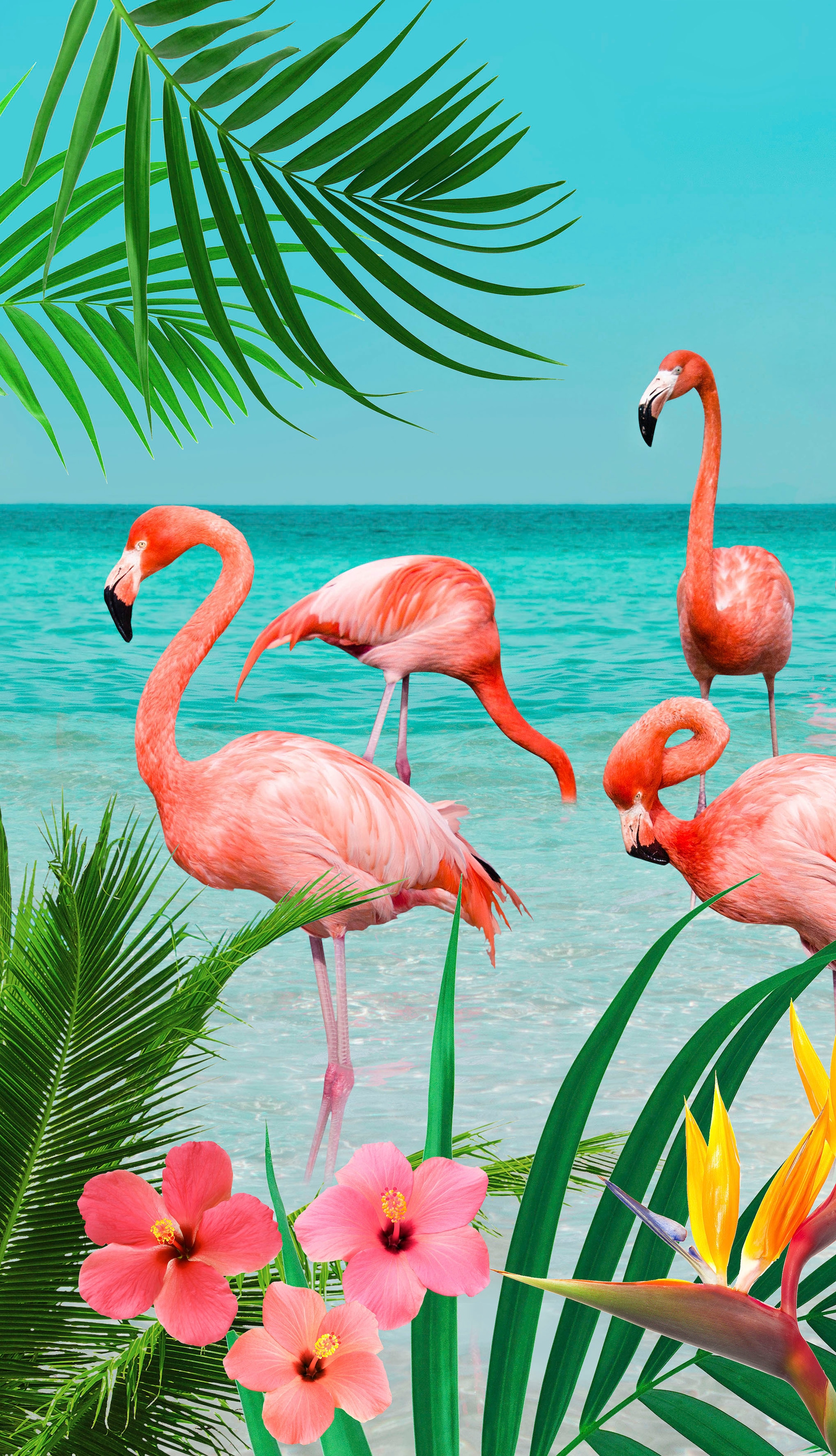 Strandtuch »Flamingo«, (1 St.), mit Flamingos