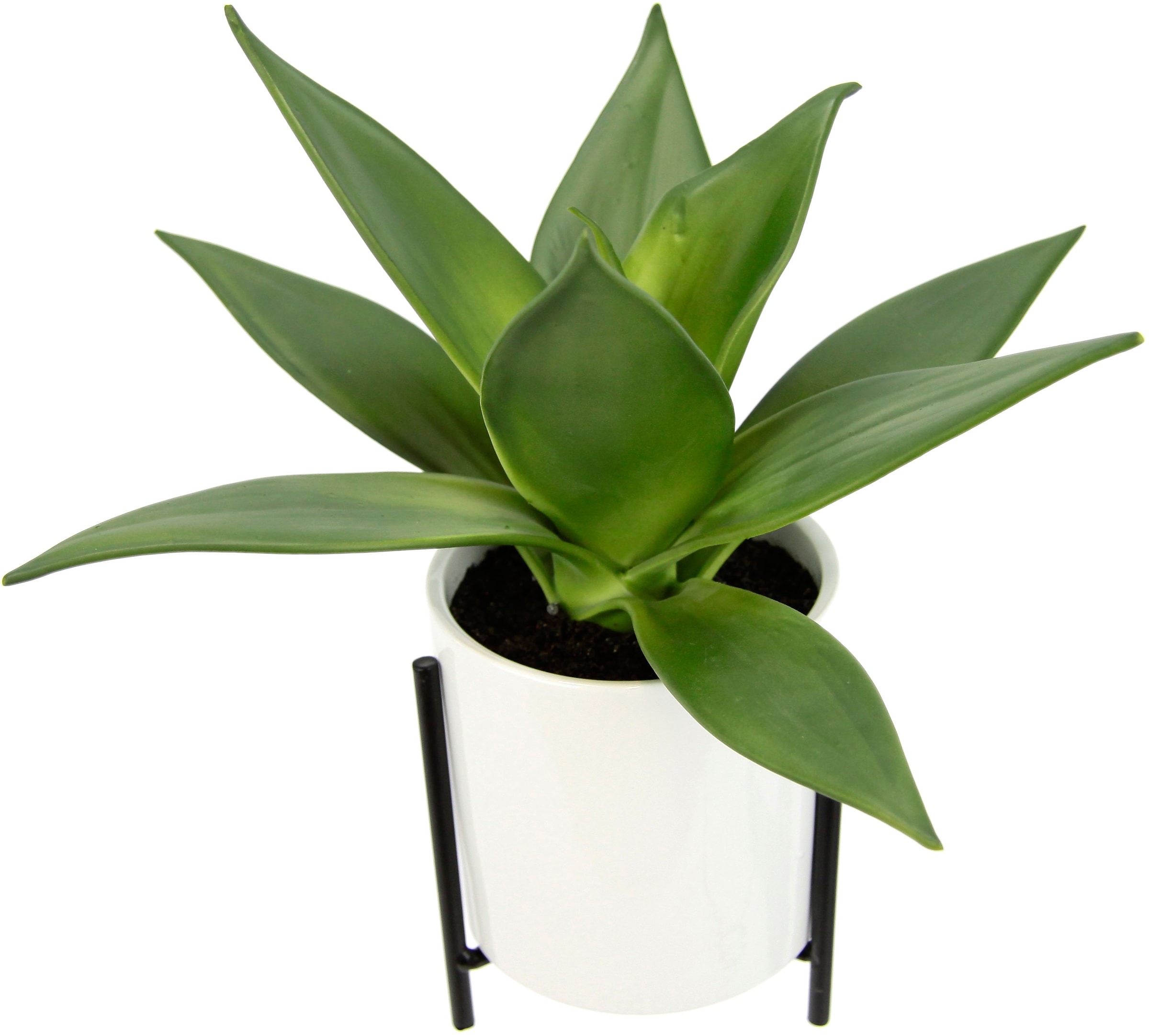 online OTTO green bei Zimmerpflanze Aloe« Creativ Künstliche kaufen »Deko-Sukkulente