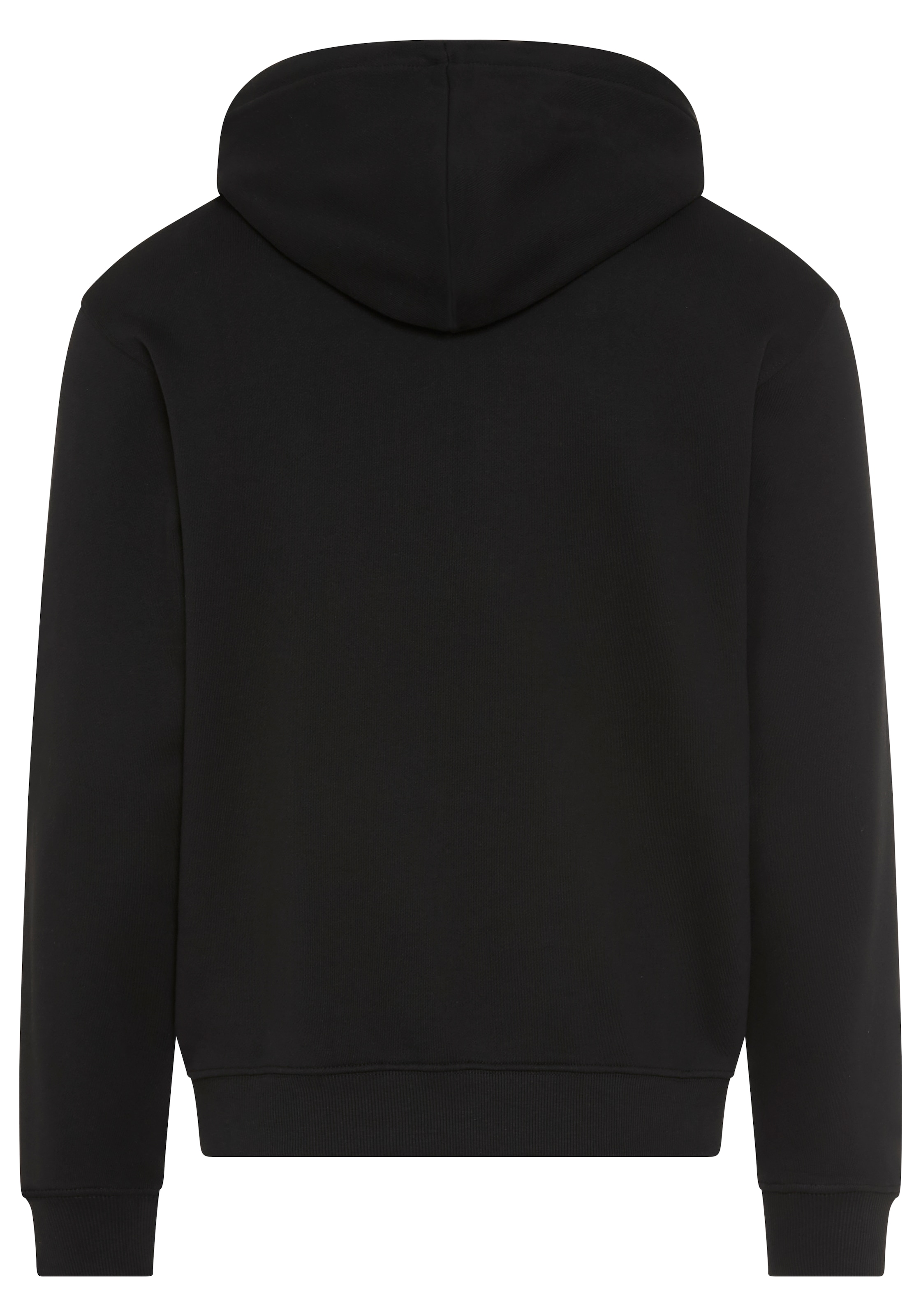 Replay Kapuzensweatjacke aus Baumwolle, Regular Fit