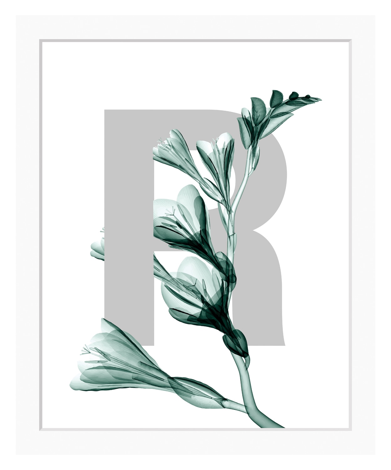 queence Bild »R-Flower« Buchstaben | Pflanzen | Pflanzenbilder