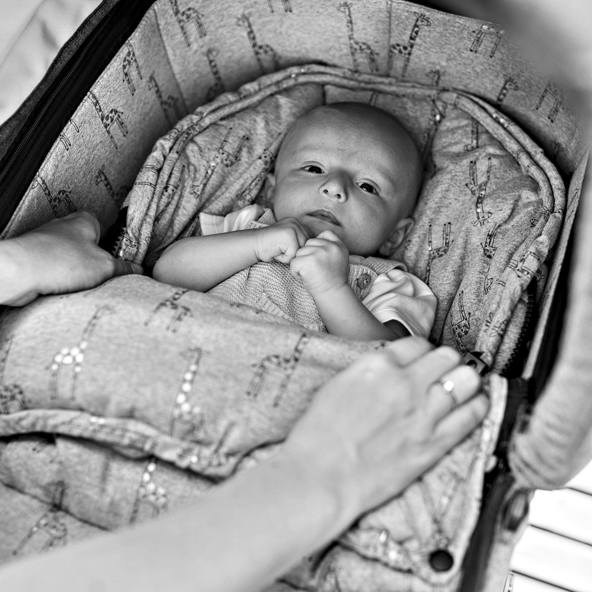 Gesslein Babywanne »Baby Nestchen, anthrazit Sterne«, für Kinderwagenwannen,  Tragetaschen, Babyschalen oder Sportwagensitz | OTTO
