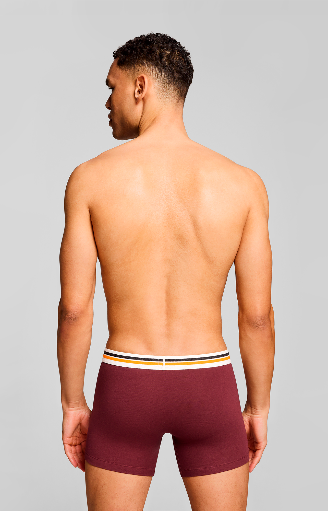 Levi's® Boxershorts »LEVIS MEN PL SPW LOGO BOXER BRIEF ORG 2P«, (2er Pack), mit breitem Logobund