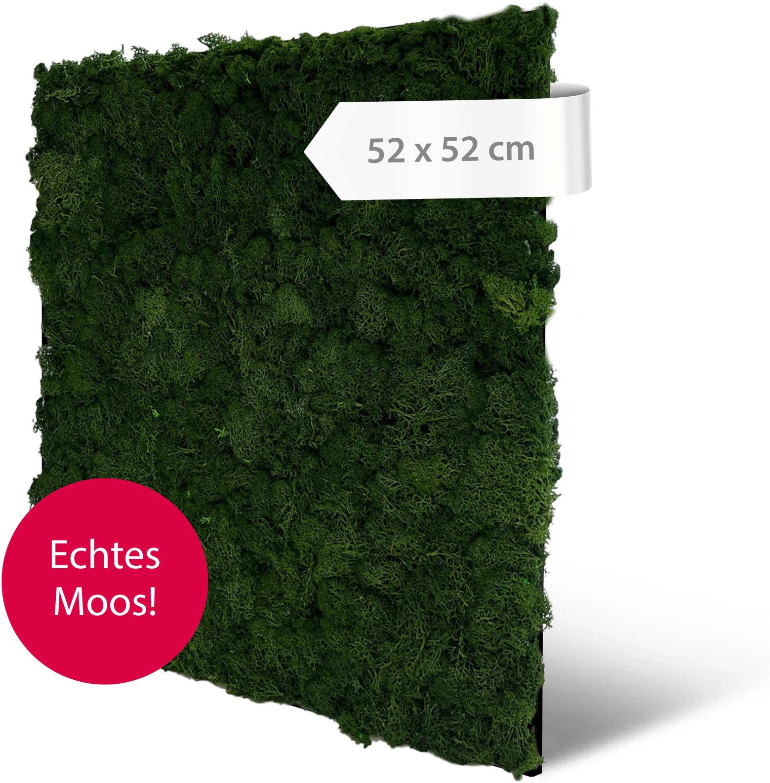 Architects Paper Wandpaneel »A.S. Création Modular Wall Wandpaneel Naturmoos« 1 tlg. Konserviertes Naturmoos auf rPET-Filz – pflegeleicht ohne Gießen
