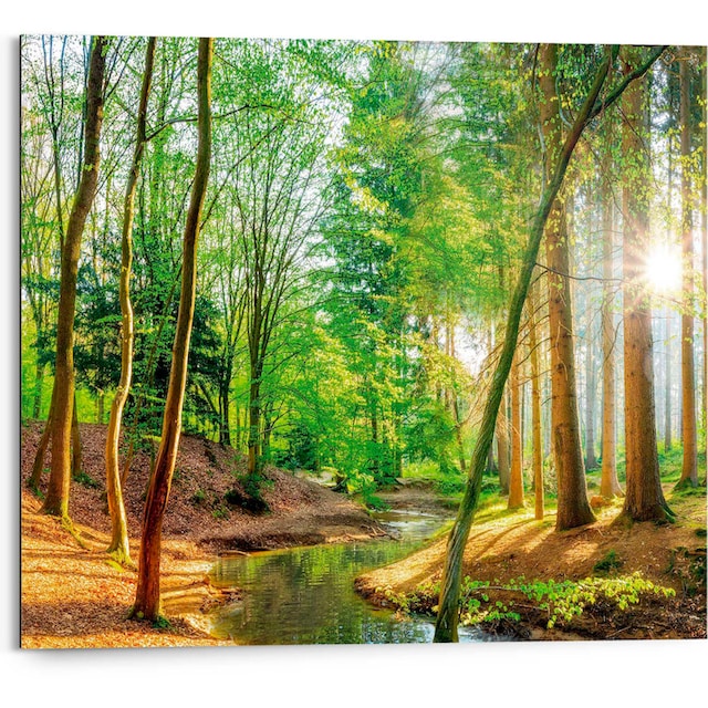 Reinders! Deco-Panel »Sonniger Wald« online bei OTTO