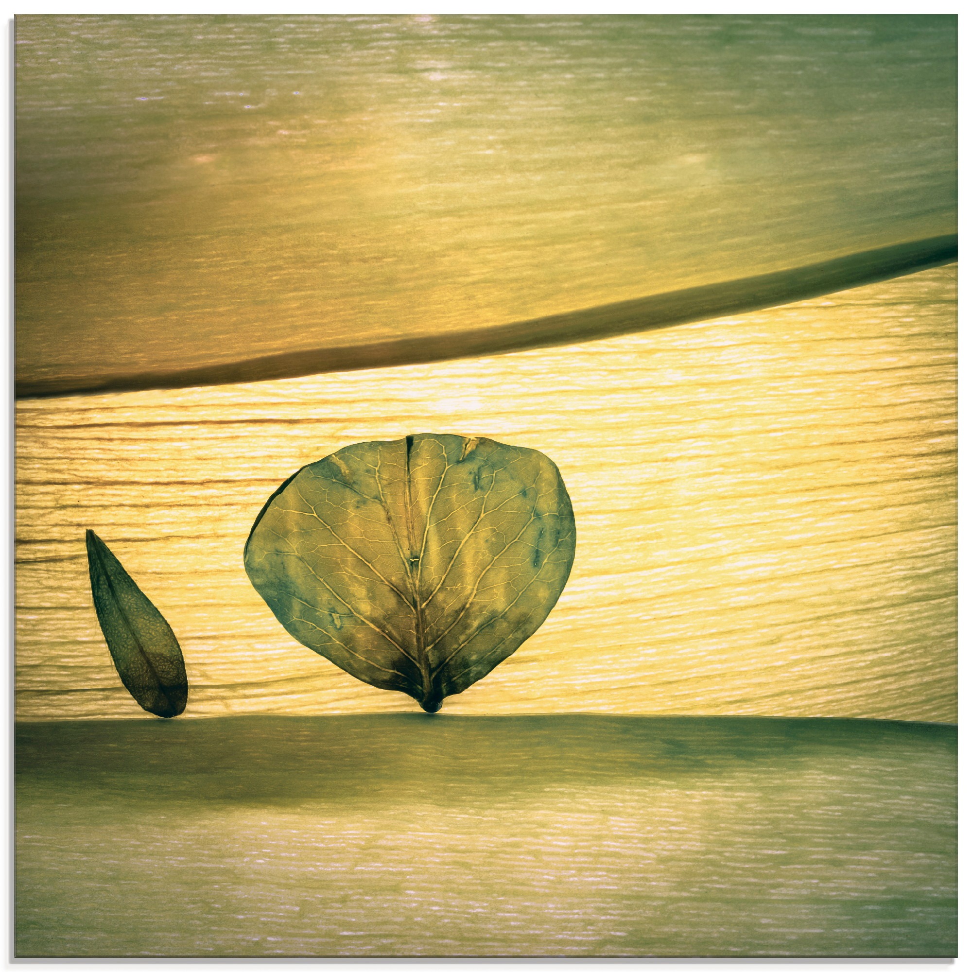 Artland Glasbild »Frühling?«, Blätter, (1 St.)