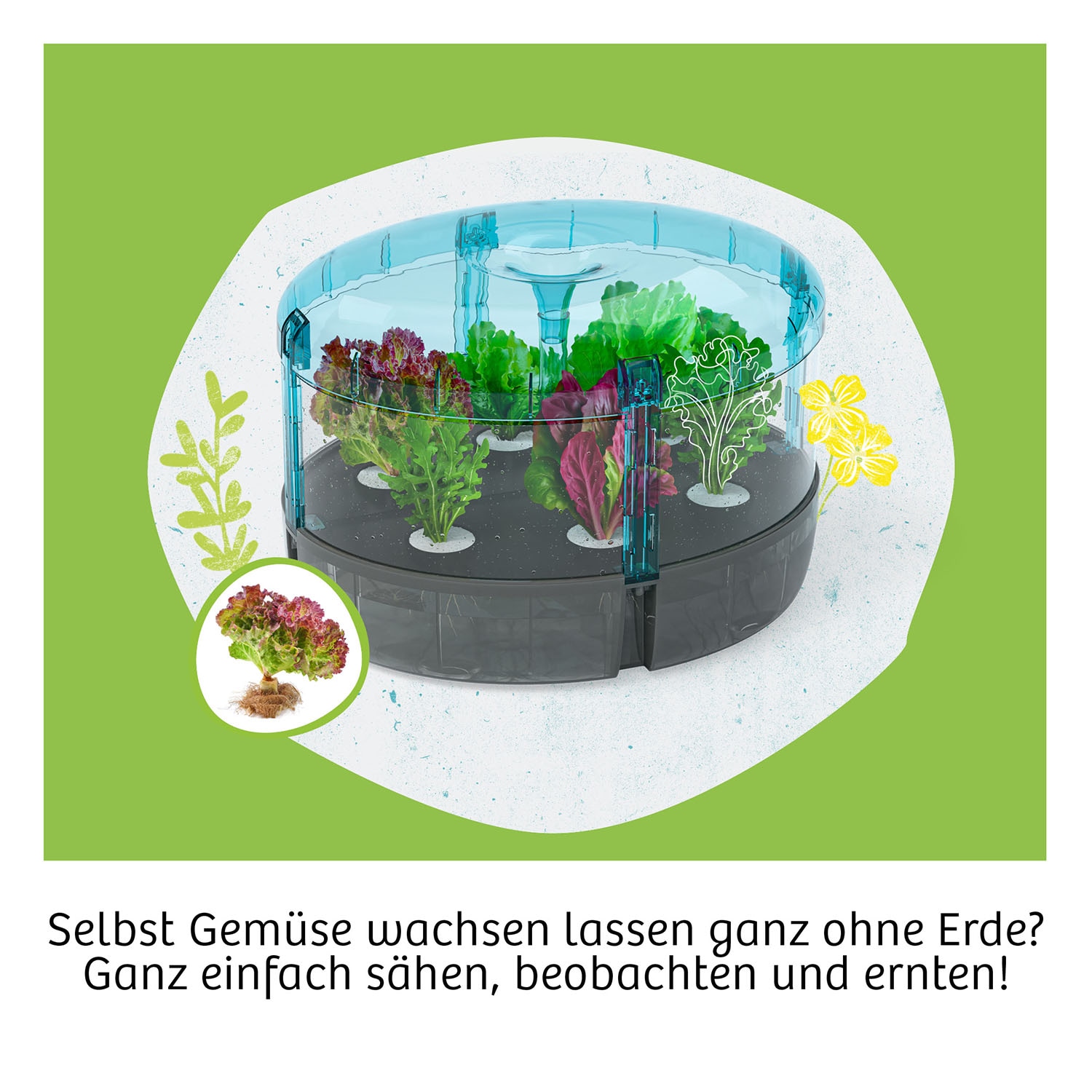 Kosmos Experimentierkasten »Hydro-Garten« Made in Germany