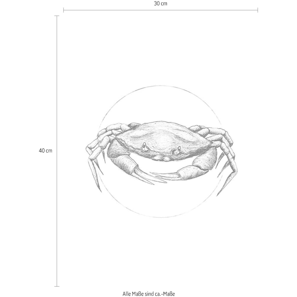 Komar Poster »Crab White«, Tiere, (1 St.), Kinderzimmer, Schlafzimmer, Wohnzimmer