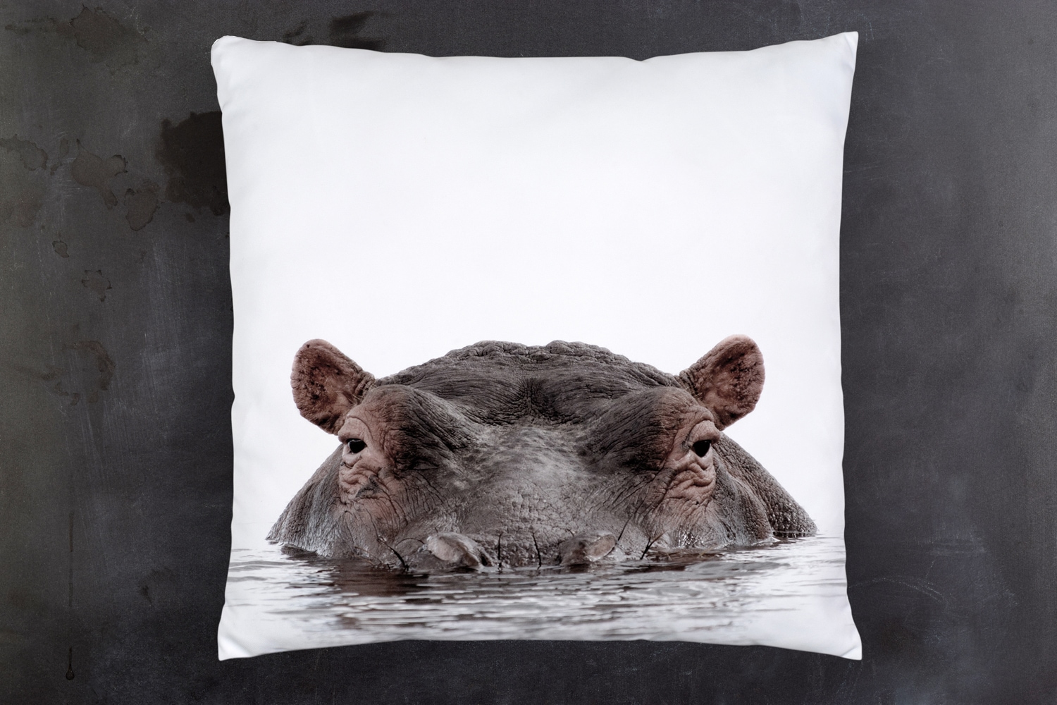 queence Dekokissen »Flußpferd«, Kissenhülle mit HD Premium Druck, geruchsneutral, 40x40cm