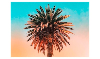 Komar Poster »Palm Tree«, Pflanzen-Blätter, Höhe: 50cm kaufen