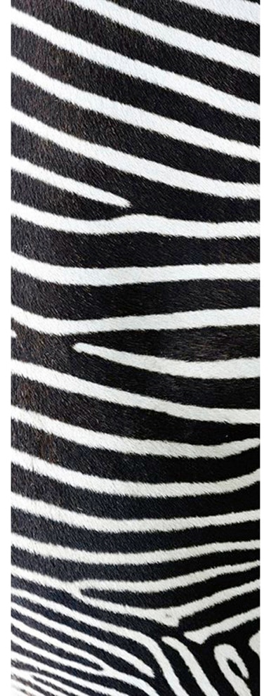 Fototapete »Skin Zebra«, Tapete Zebra Fototapete Panel 1,00m x 2,80m