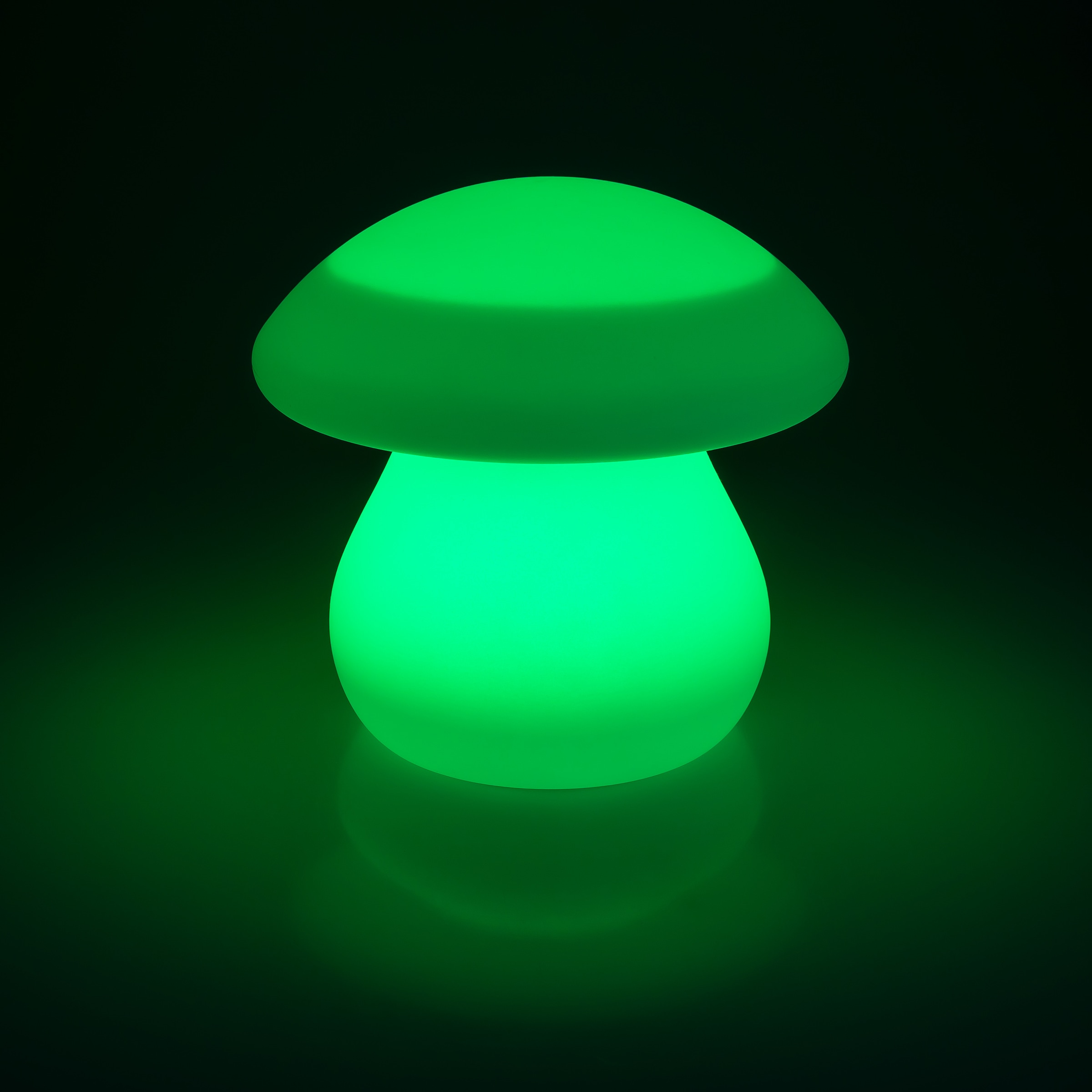 my home LED Solarleuchte »Elowyn, LED-Solar Pilz« LED-Modul 1 Stk. RGB | Warmweiß mit Erdspieß und Fernbedienung