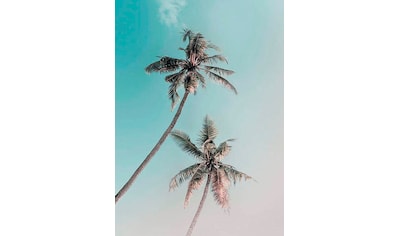 Komar Poster »Miami Palms«, Pflanzen-Blätter, Höhe: 70cm kaufen