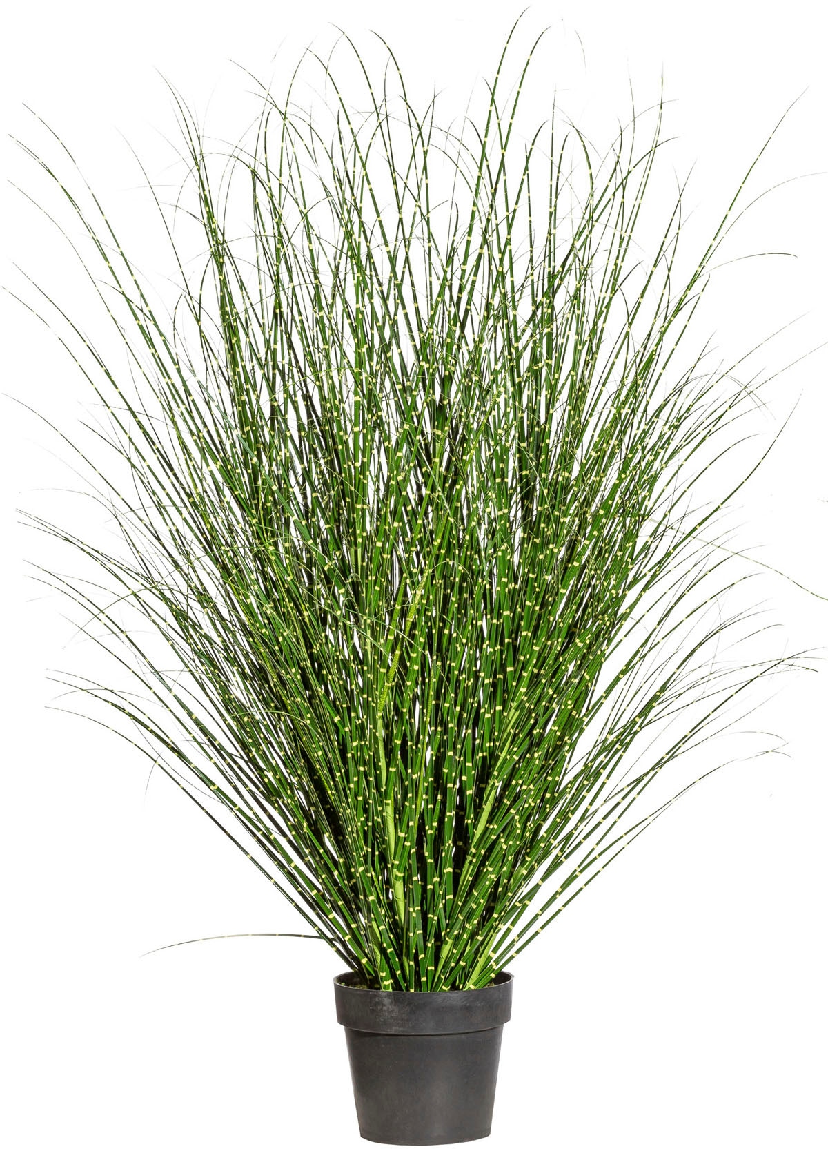 Creativ Green Kunstgras »Miscanthus Zebrinus« in grün, Größe B/H/L: 100 cm