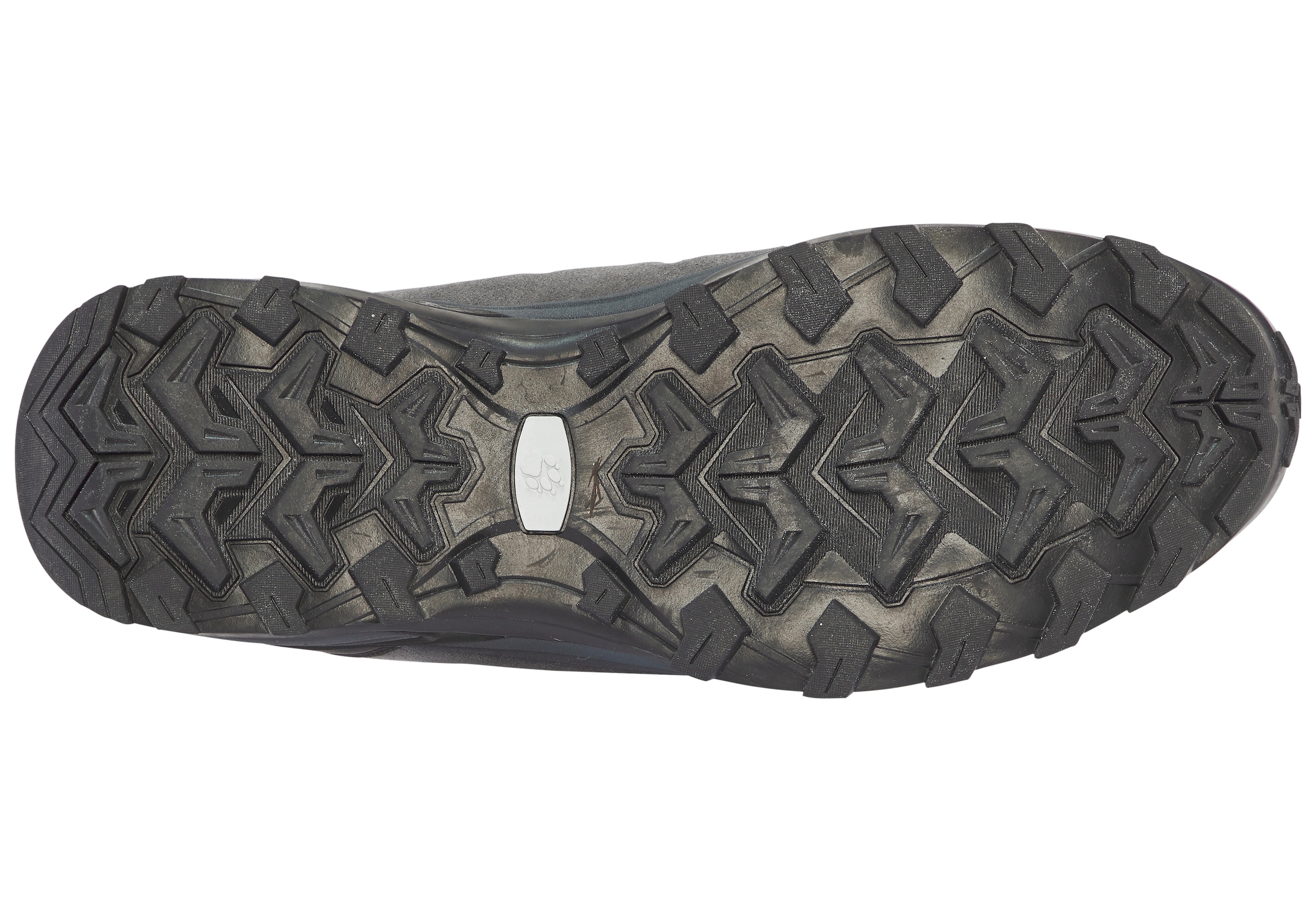 Jack Wolfskin Wanderschuh »MTN GOAT LOW M«