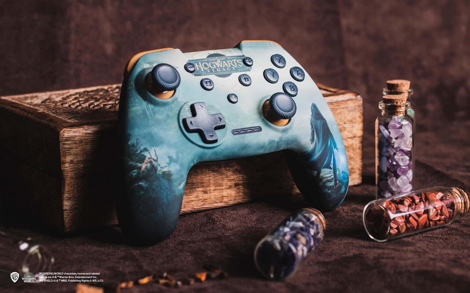 Freaks and Geeks Controller »Harry Potter Hogwarts Legacy Landscape Switch«