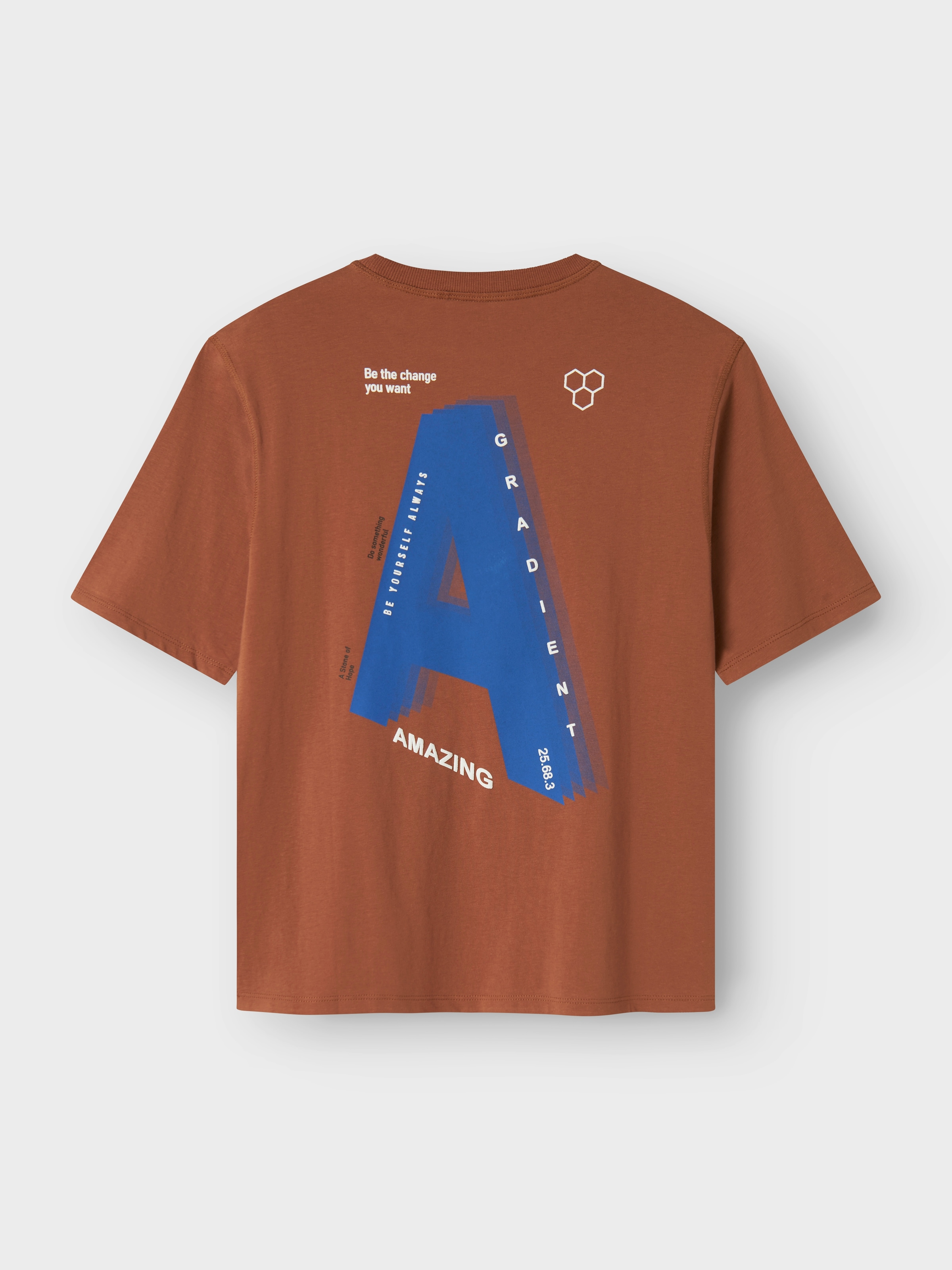 Name It T-Shirt »NKMOAKLEY SS NREG TOP BF«