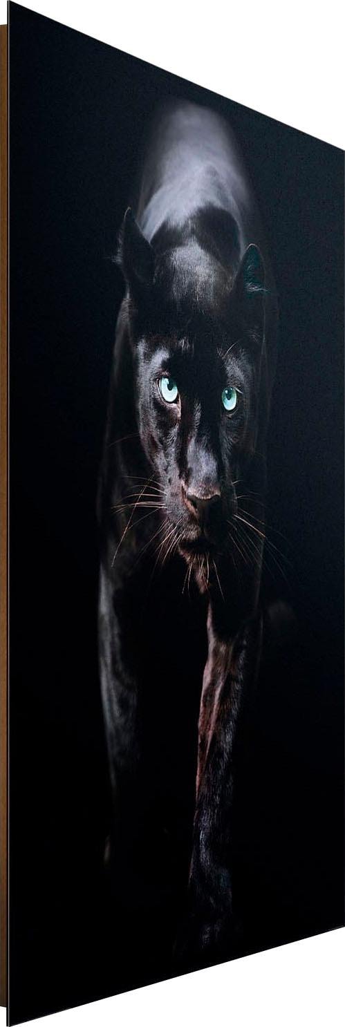 Reinders! Panther« OTTO »Schwarzer bei Deco-Panel online