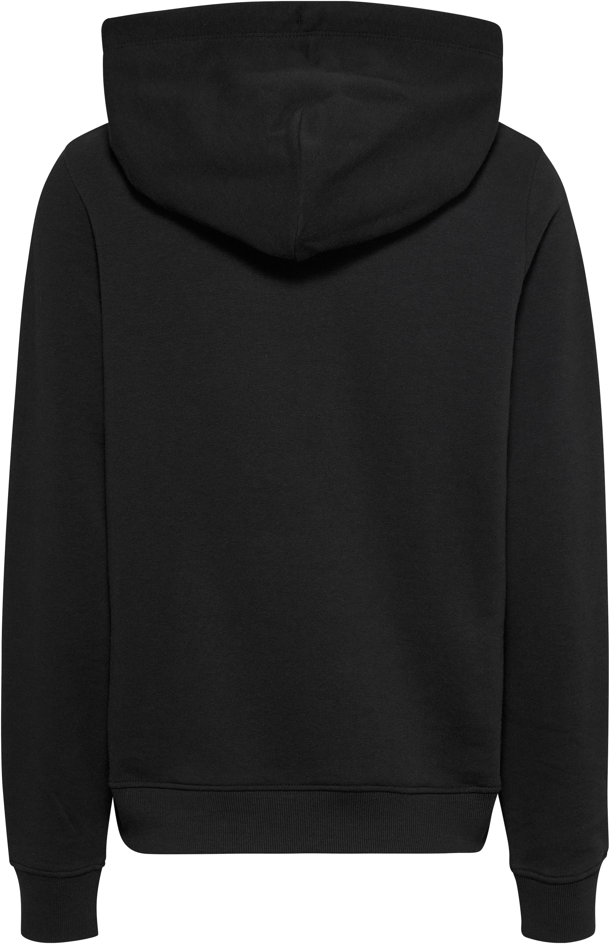 Tommy Jeans Kapuzensweatshirt »TJW REG LINEAR HOODIE«, mit Logoschriftzug