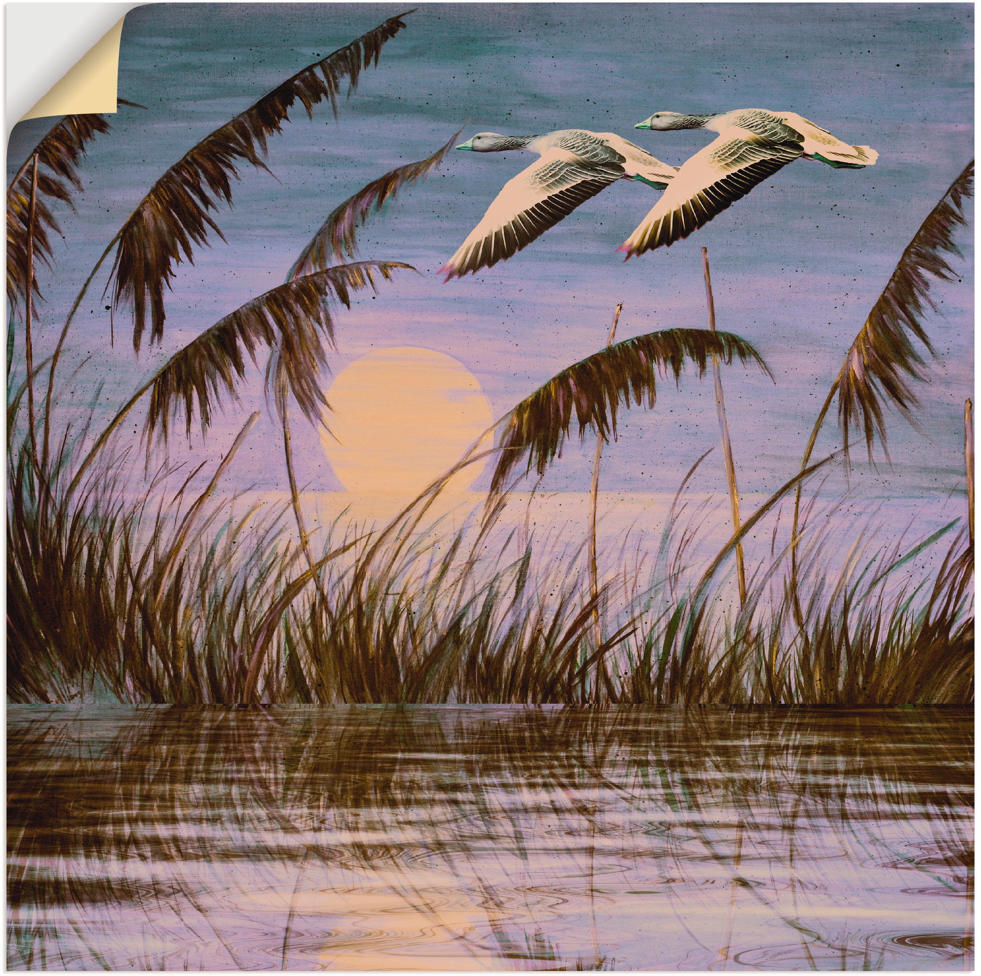 Artland Wandbild »Wildgänse in der Abendsonne«, Vögel, (1 St.), in vielen Größen & Produktarten - Alubild / Outdoorbild für den Außenbereich, Leinwandbild, Poster, Wandaufkleber / Wandtattoo auch für Badezimmer geeignet