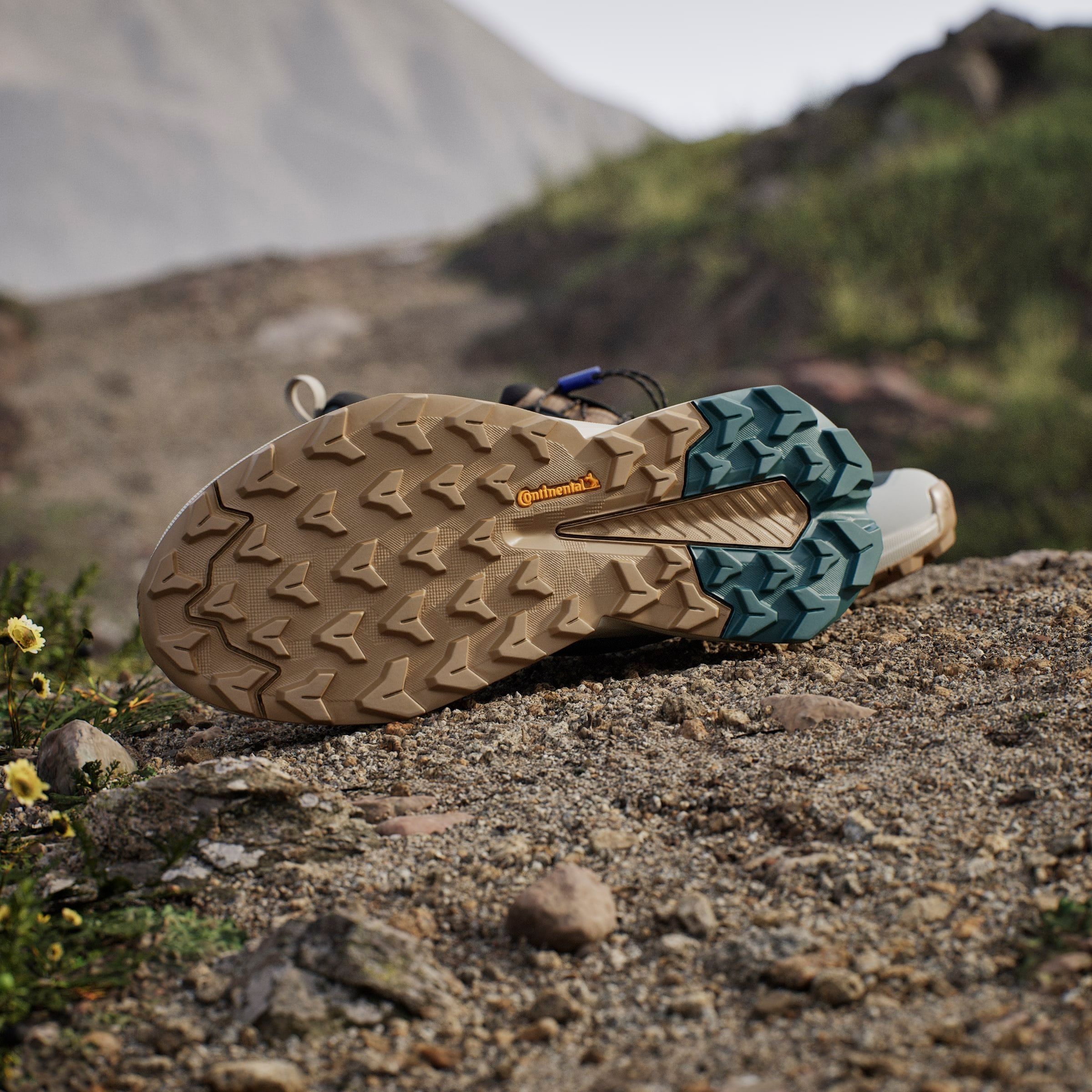 adidas TERREX Wanderschuh »TERREX TRAILMAKER 2 GORE-TEX SPEED LACE«, wasserdicht