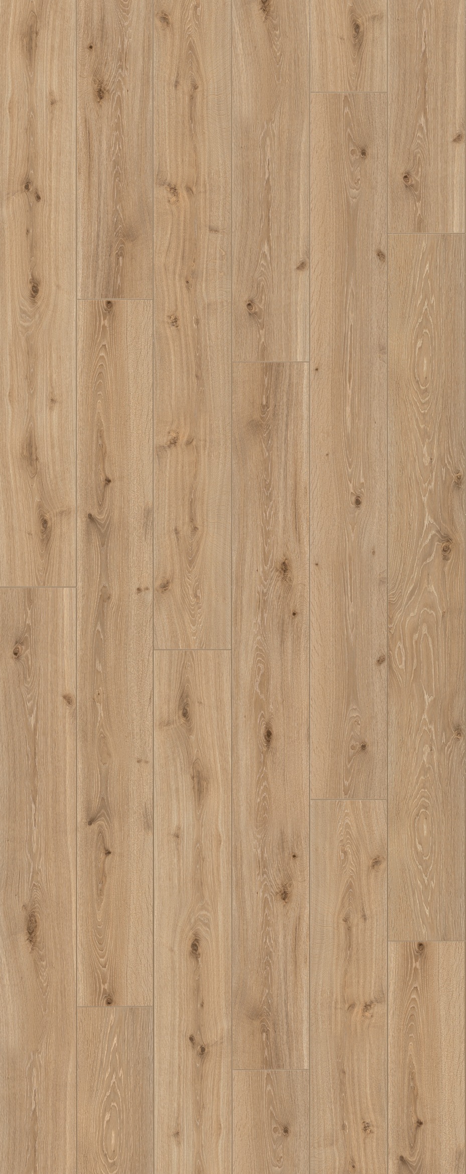 PARADOR Laminat »Trendtime 6 - Eiche Castell Gekälkt«, (Packung), spezielle Trägerplatte, 2200 x 243 mm, Stärke: 9 mm